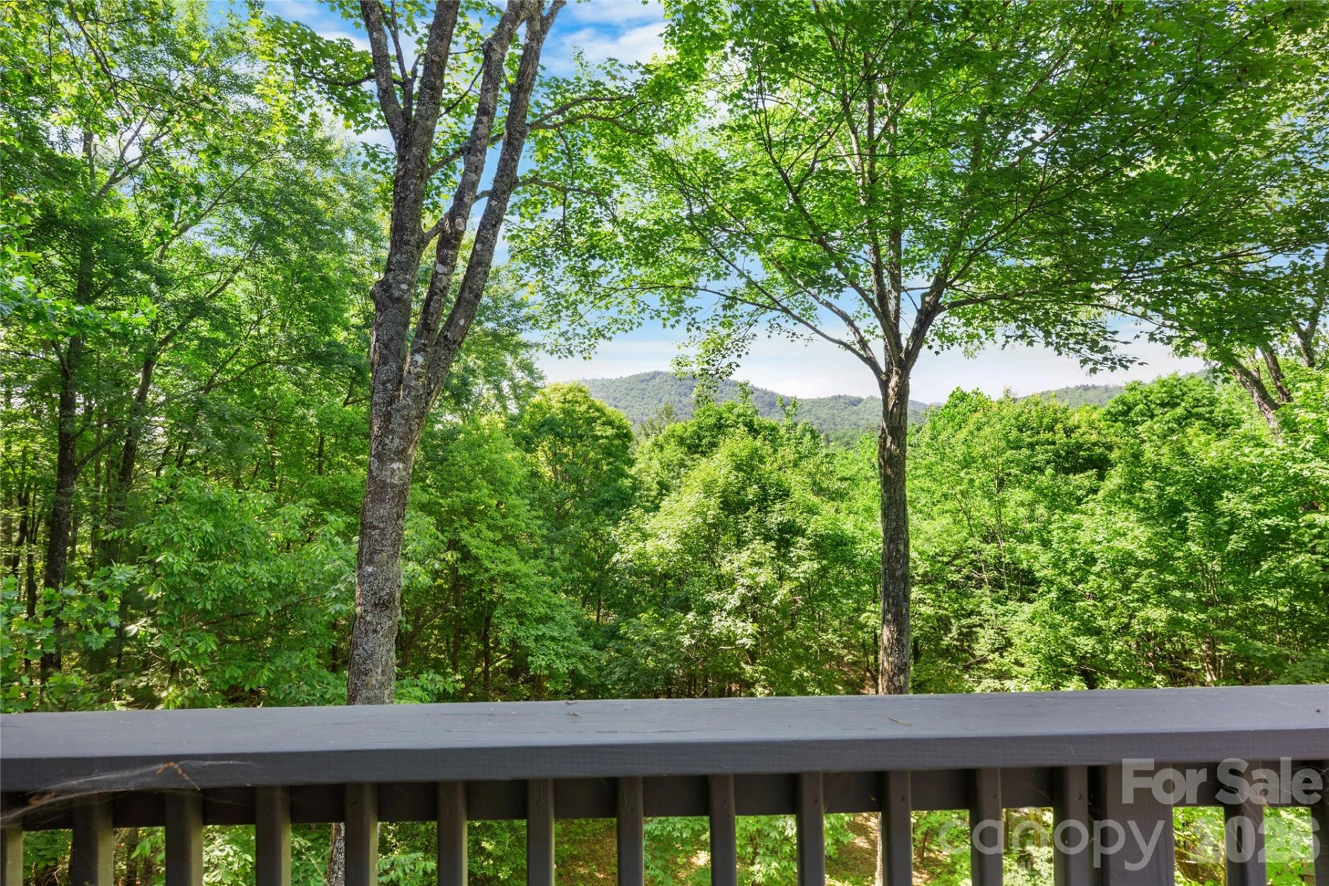 147 Club Colony Lane - Photo 26