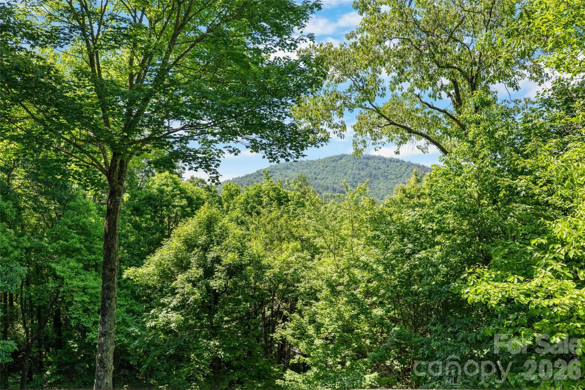147 Club Colony Lane - Photo 28