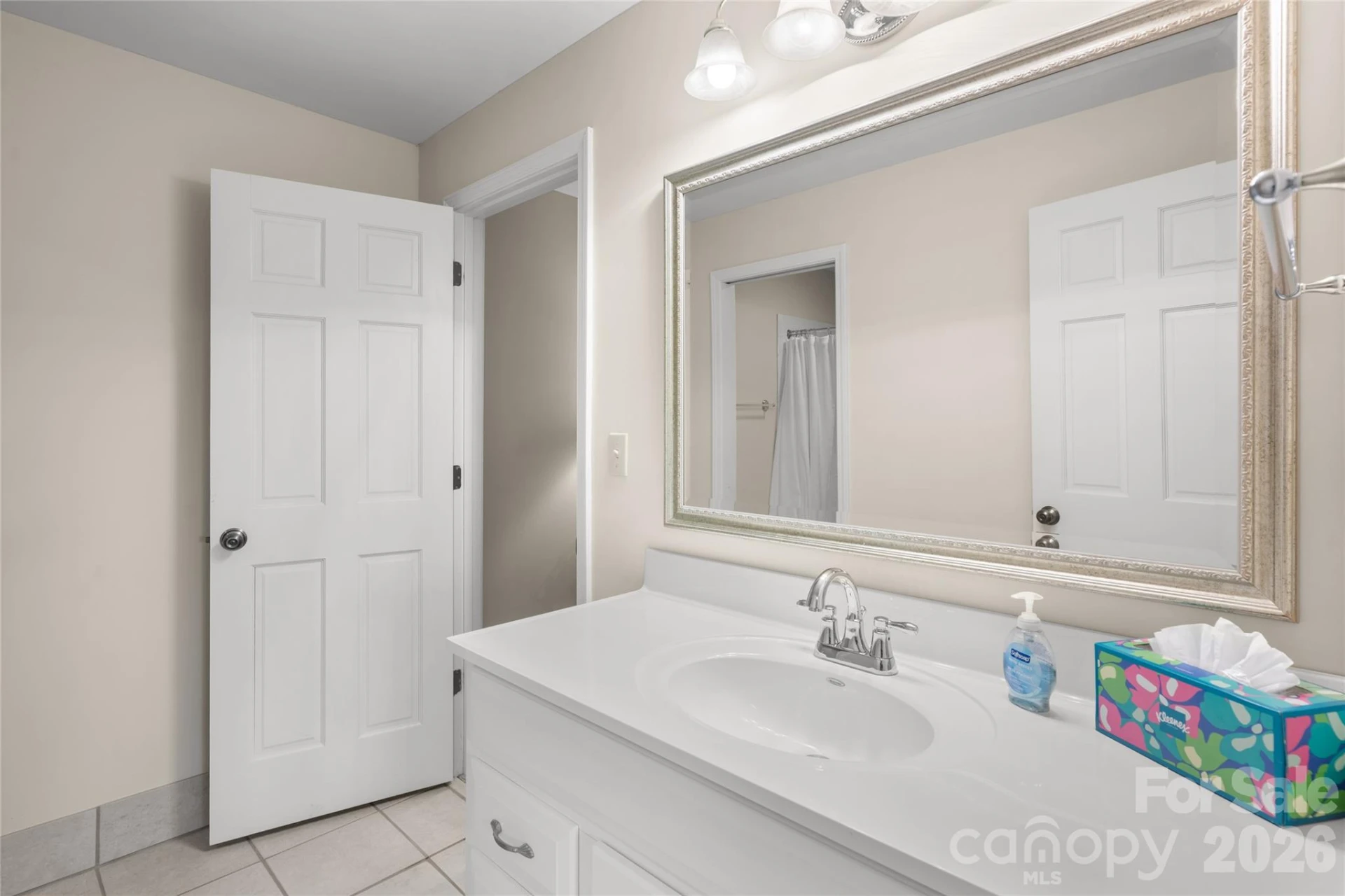 147 Club Colony Lane - Photo 33