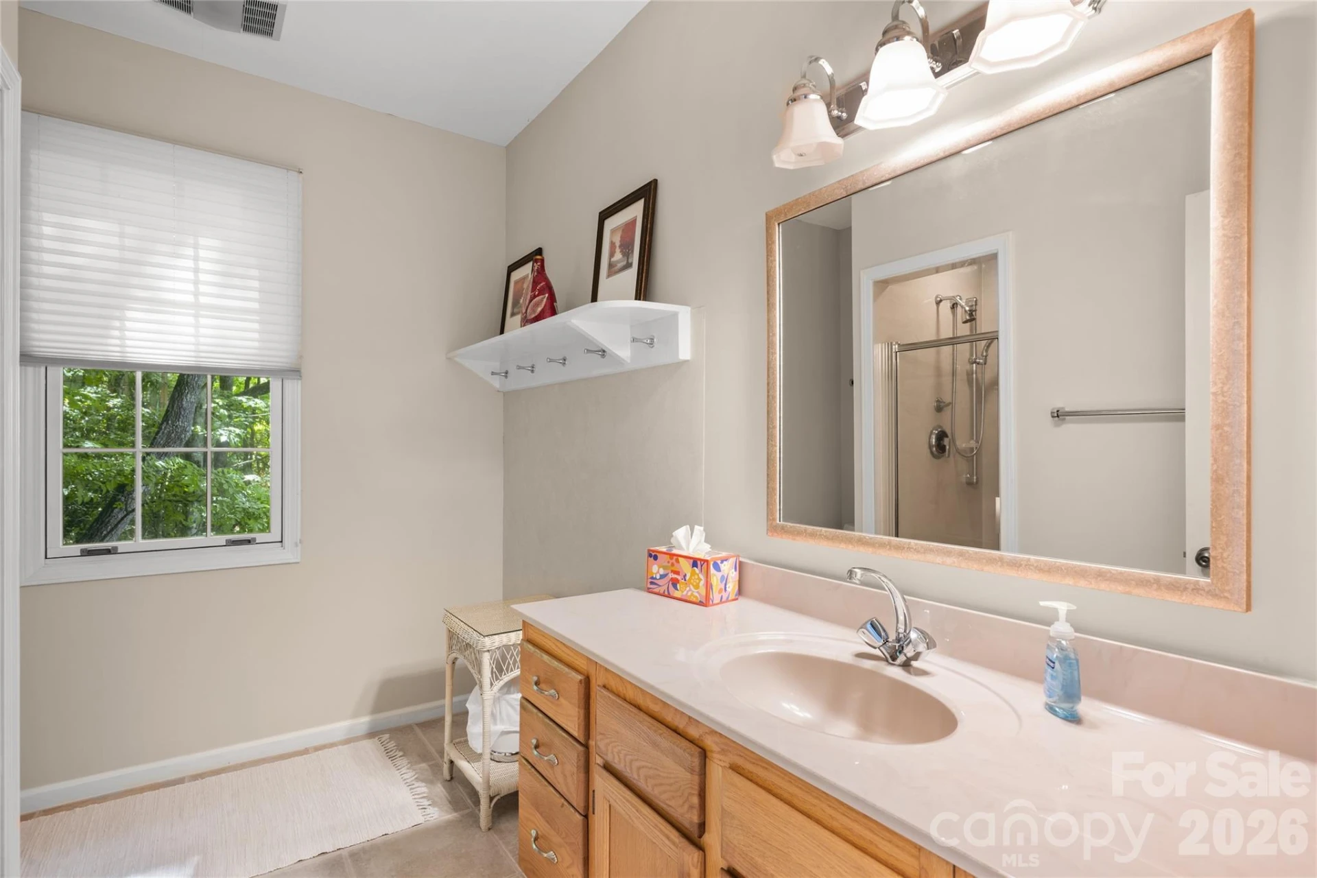 147 Club Colony Lane - Photo 36