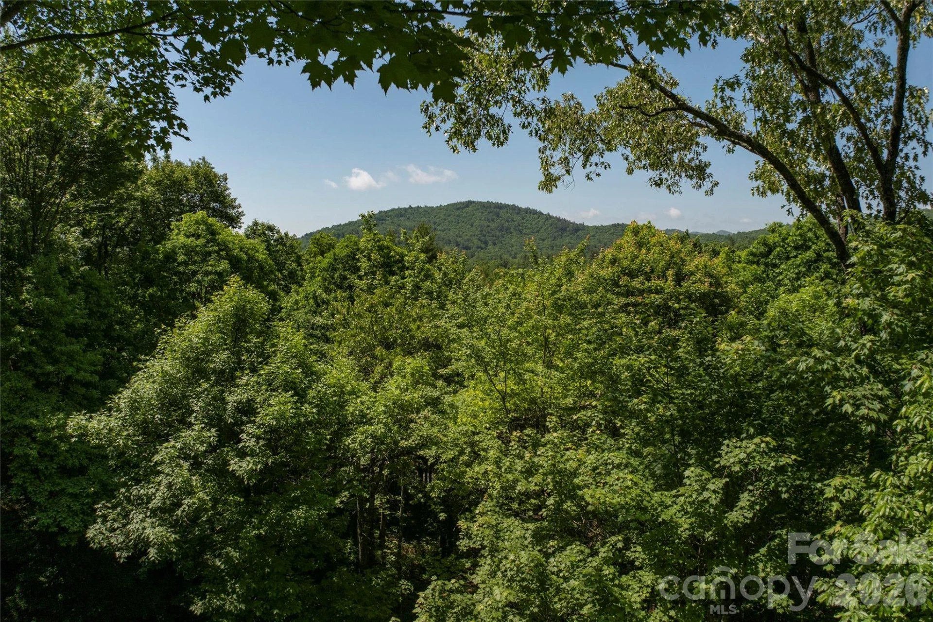 147 Club Colony Lane - Photo 41