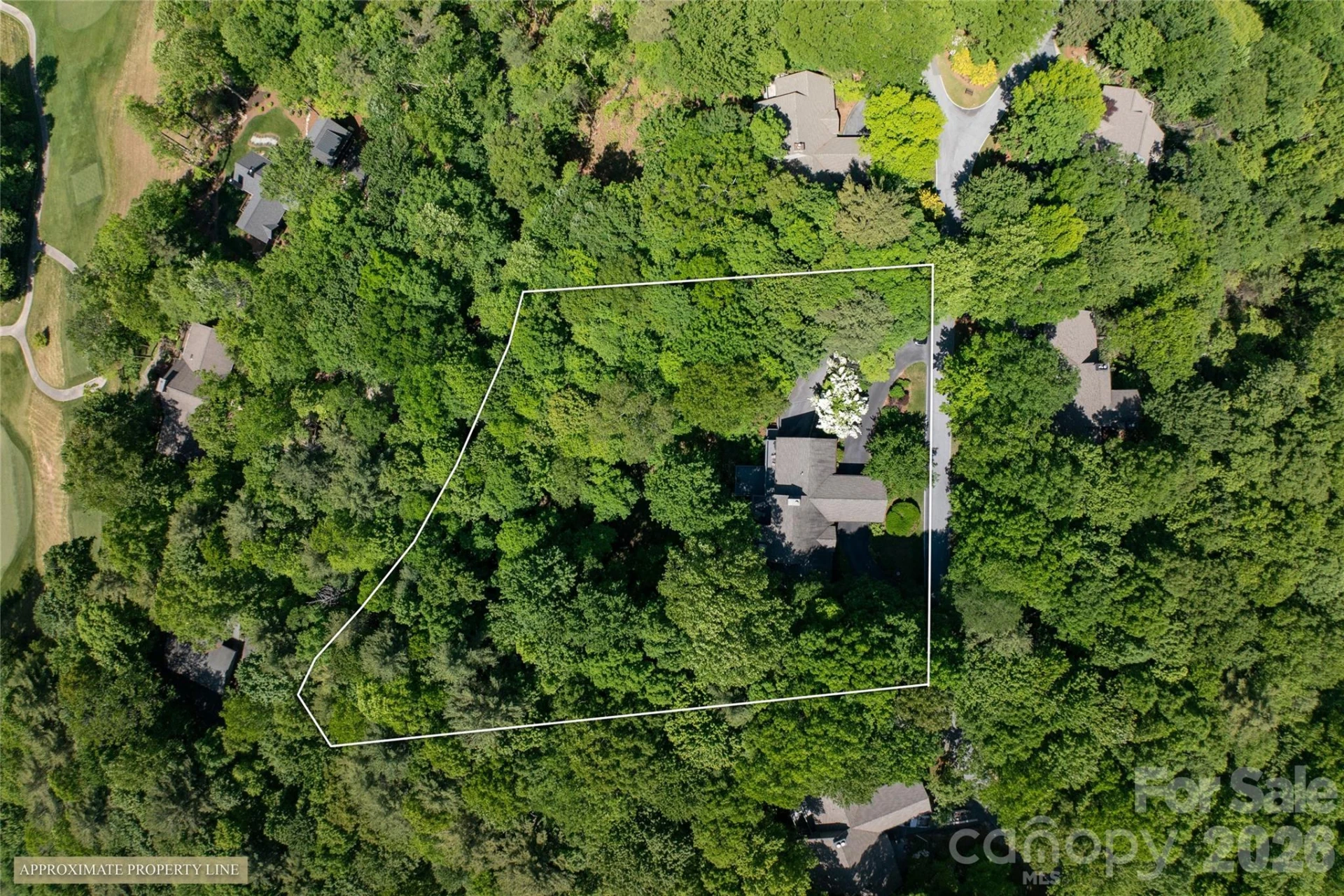 147 Club Colony Lane - Photo 44