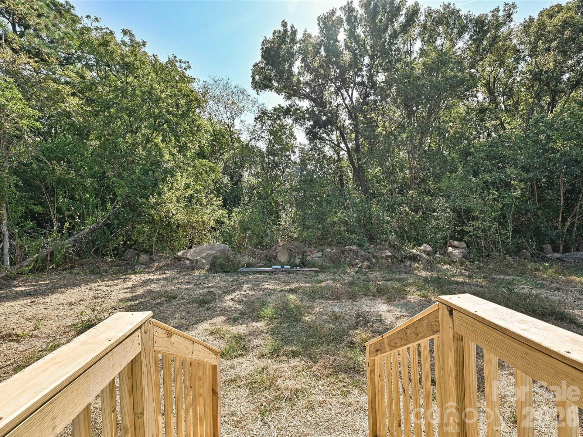 217 Ridley Street - Photo 36