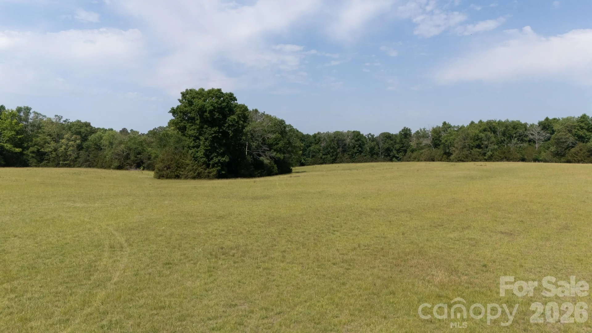 26.76 Acres Oregon Trail Road - Photo 2