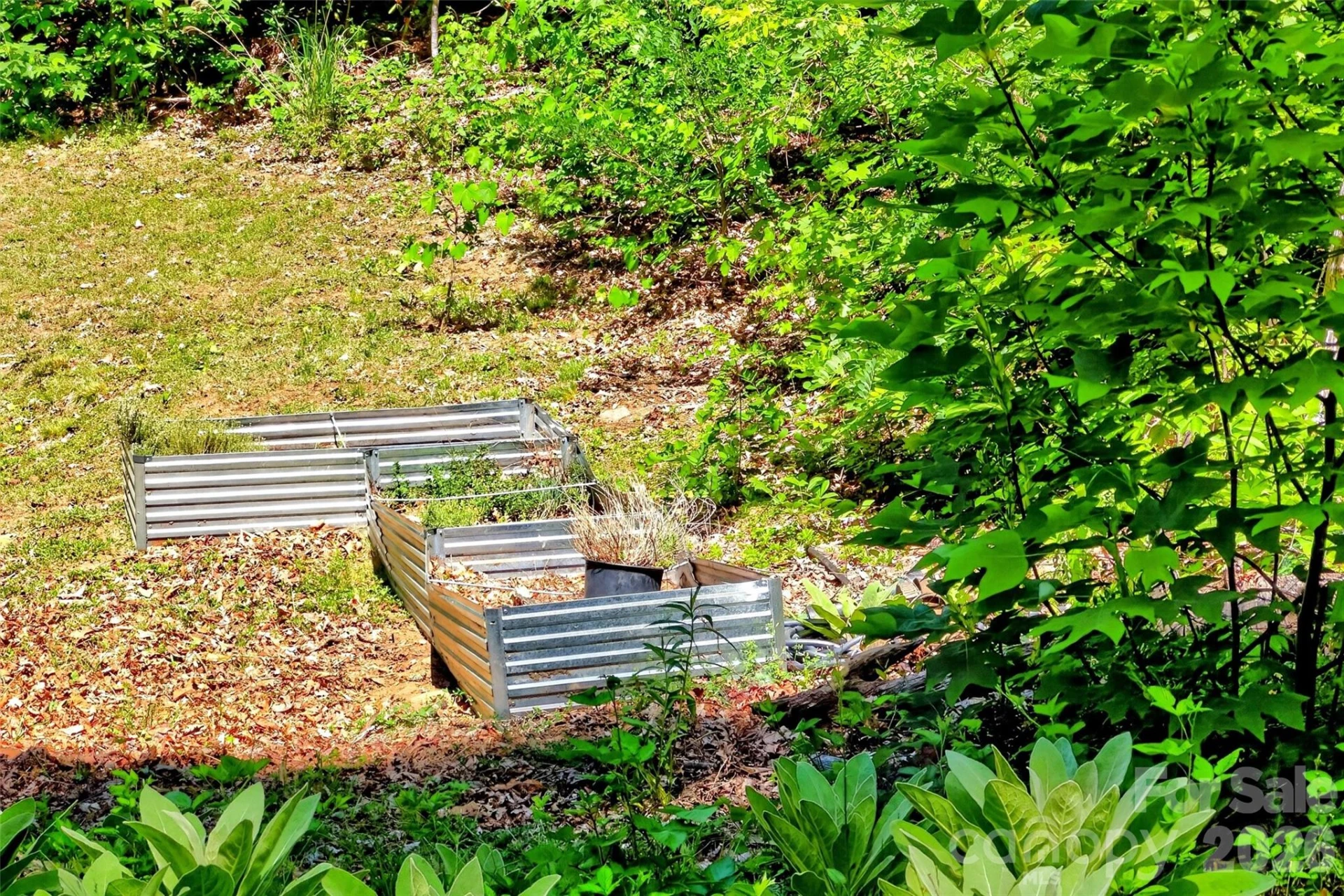 215 David Ridge Road - Photo 43