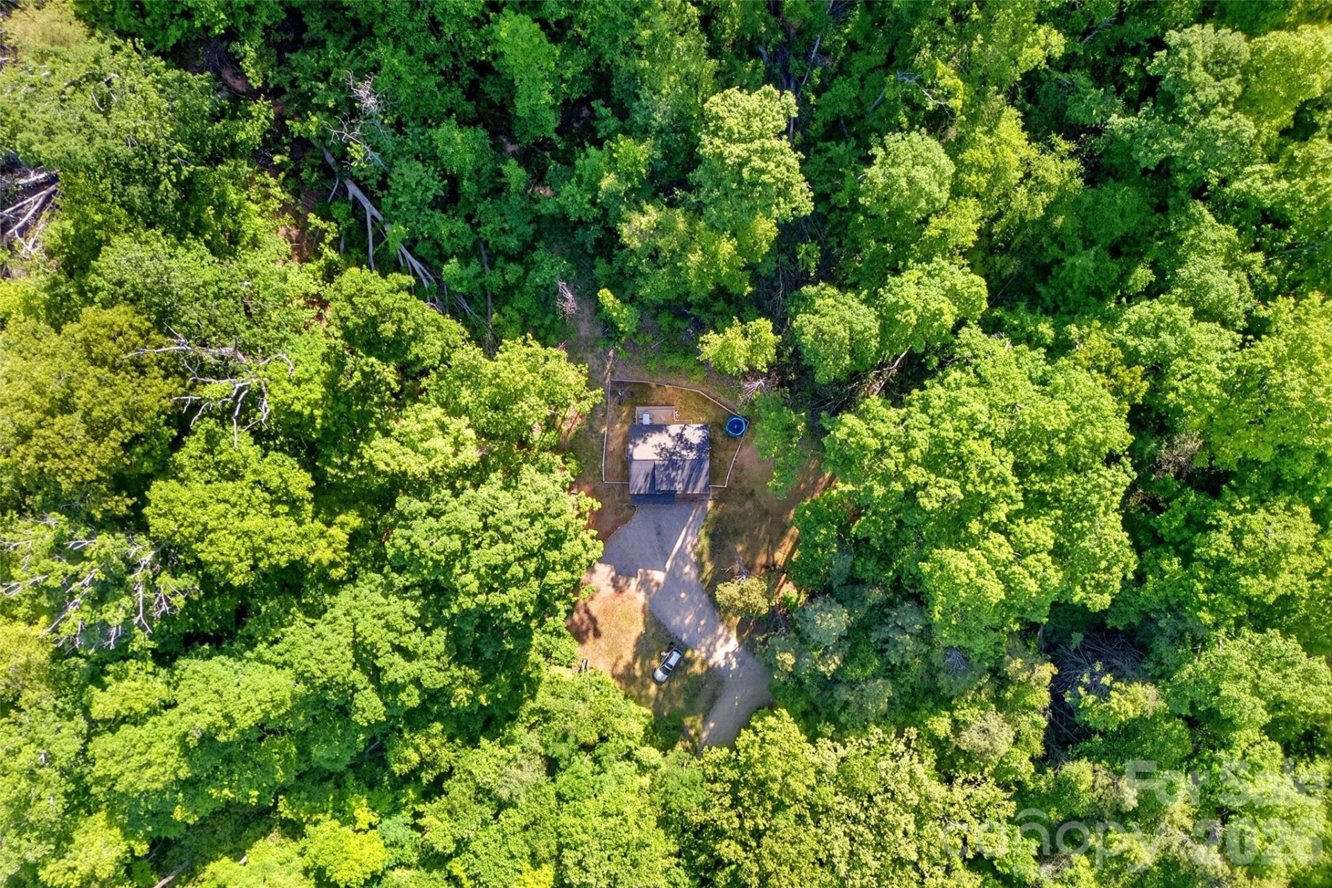 215 David Ridge Road - Photo 46