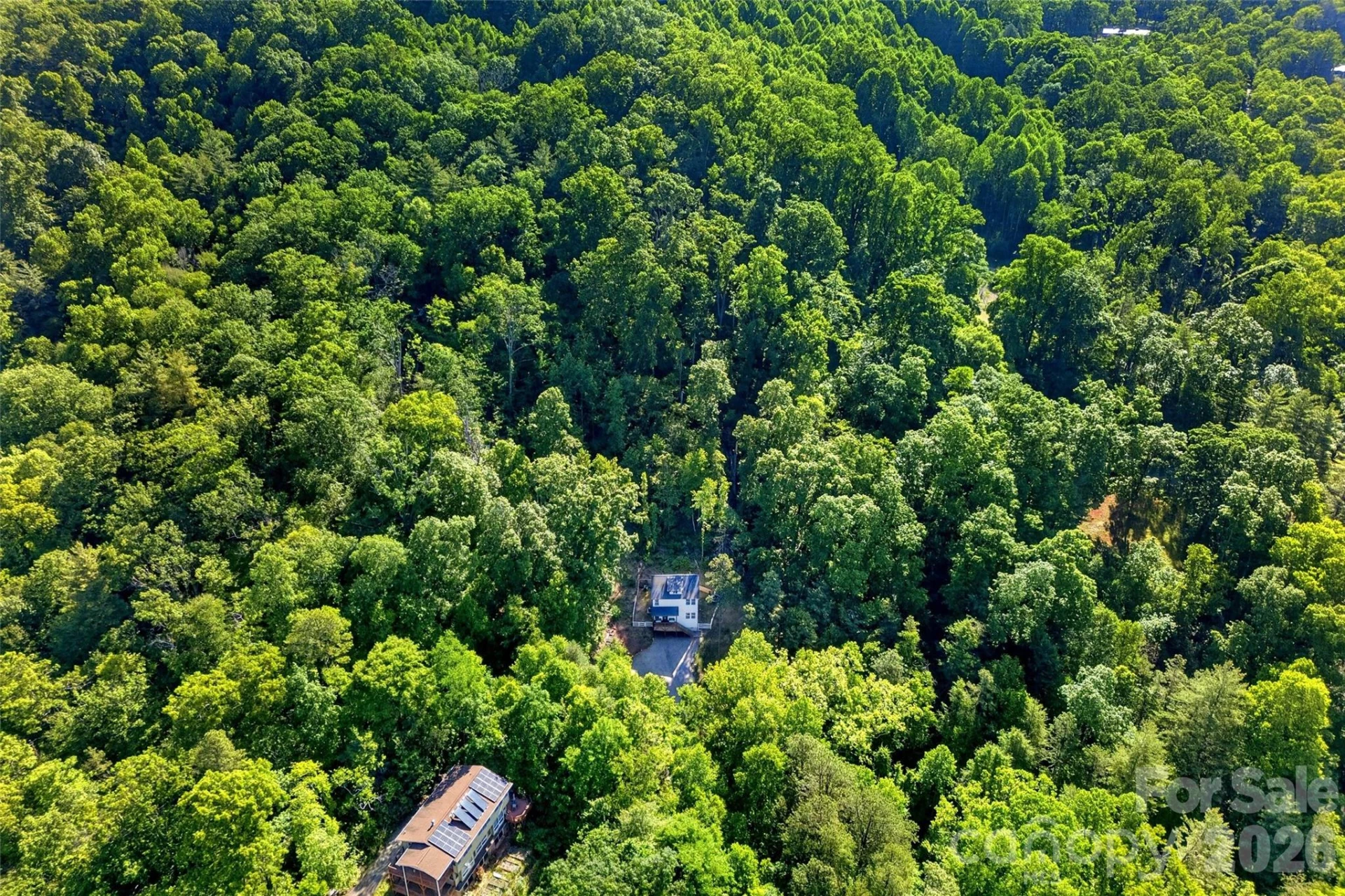 215 David Ridge Road - Photo 47