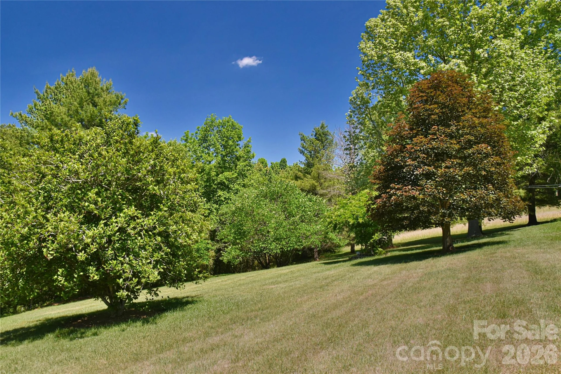 518 Forest Ridge Drive - Photo 44