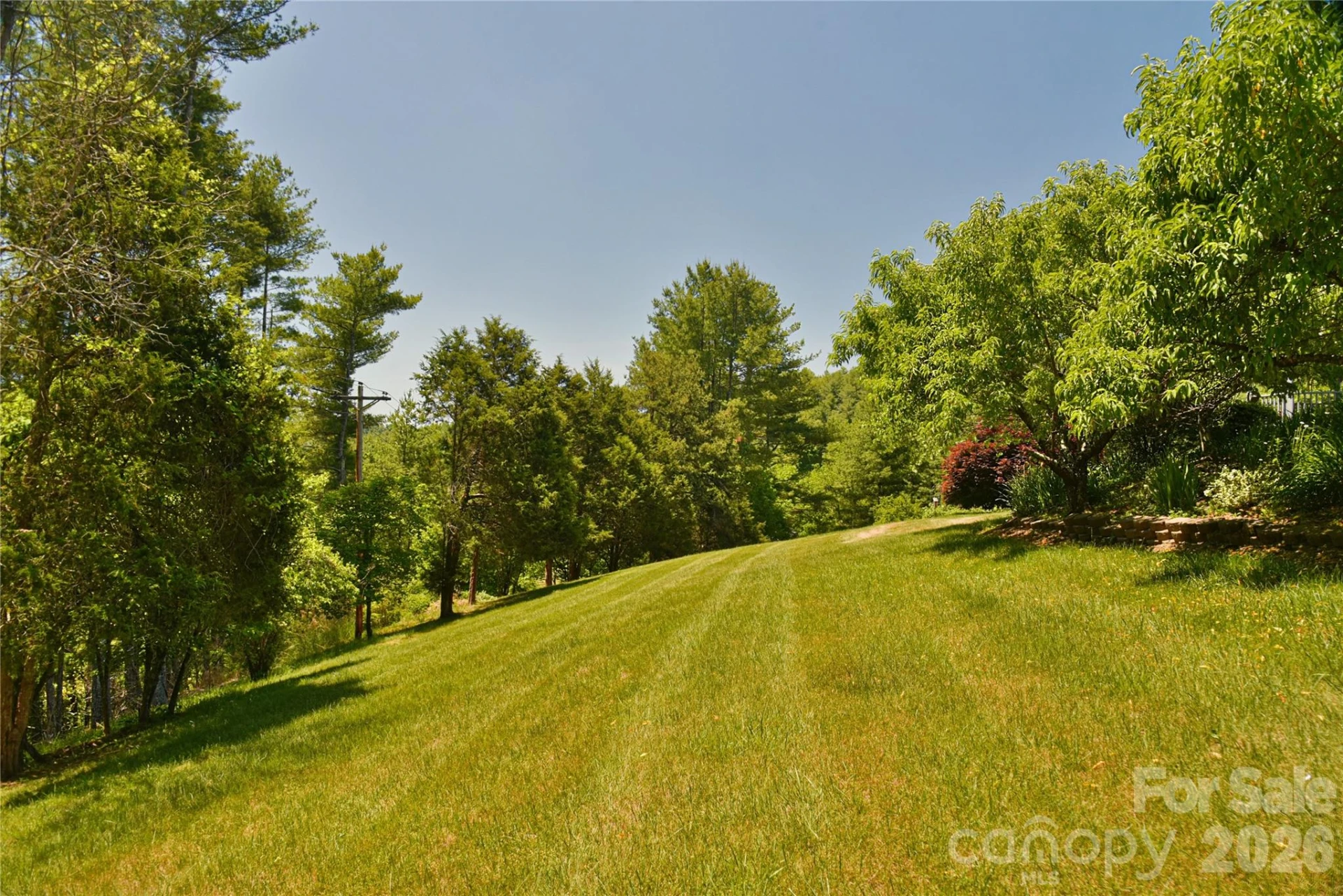 518 Forest Ridge Drive - Photo 45