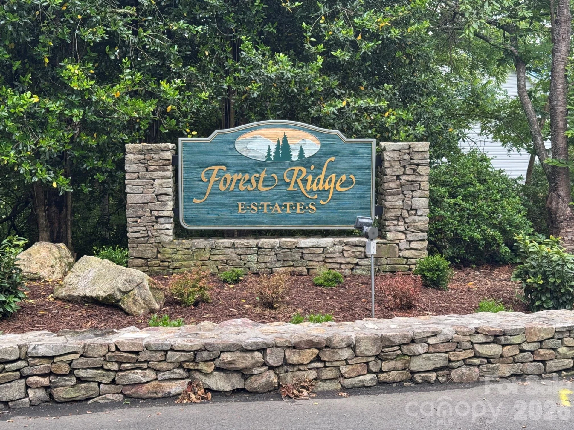 518 Forest Ridge Drive - Photo 48