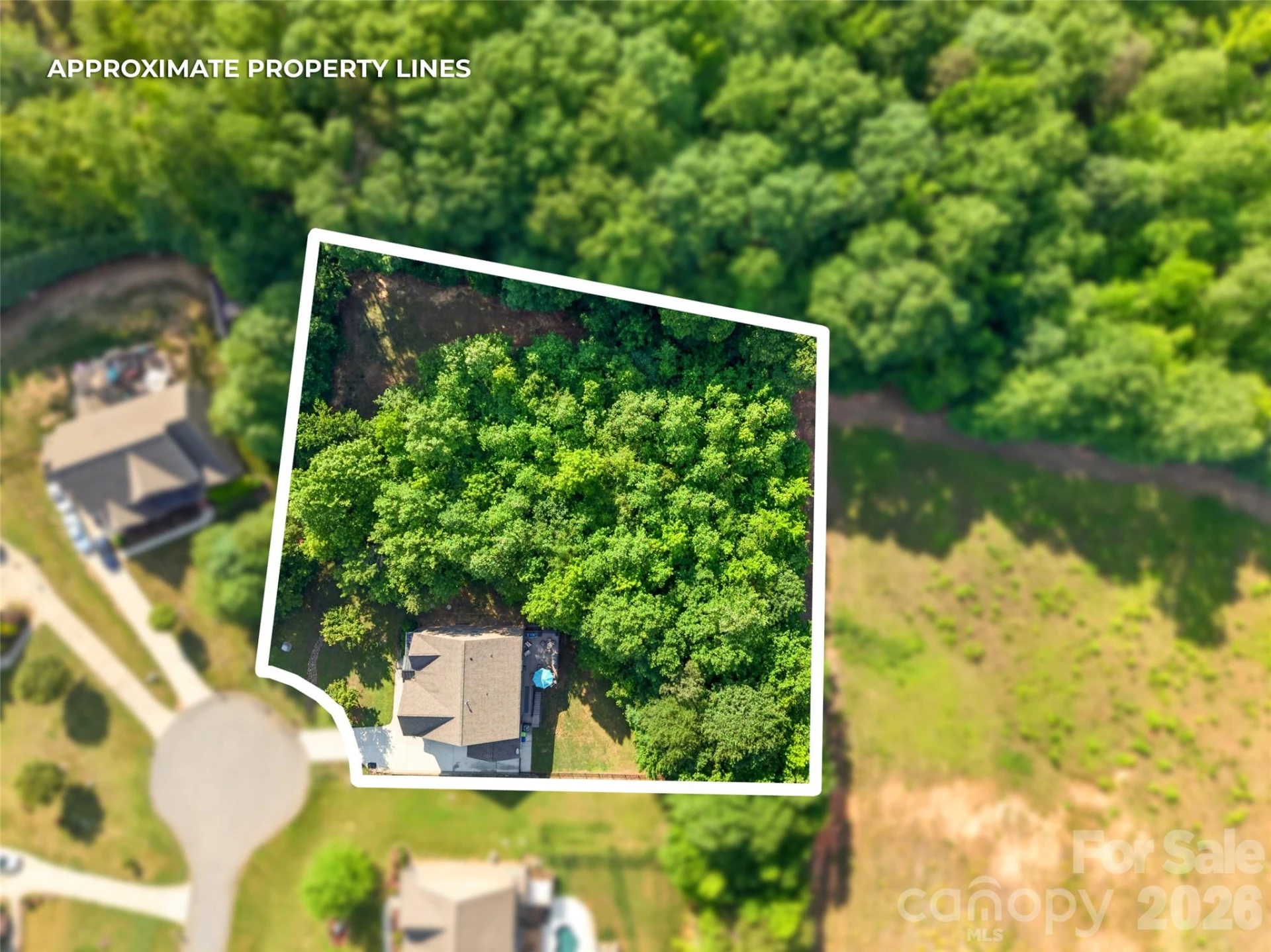 6410 Willow Farm Drive - Photo 3