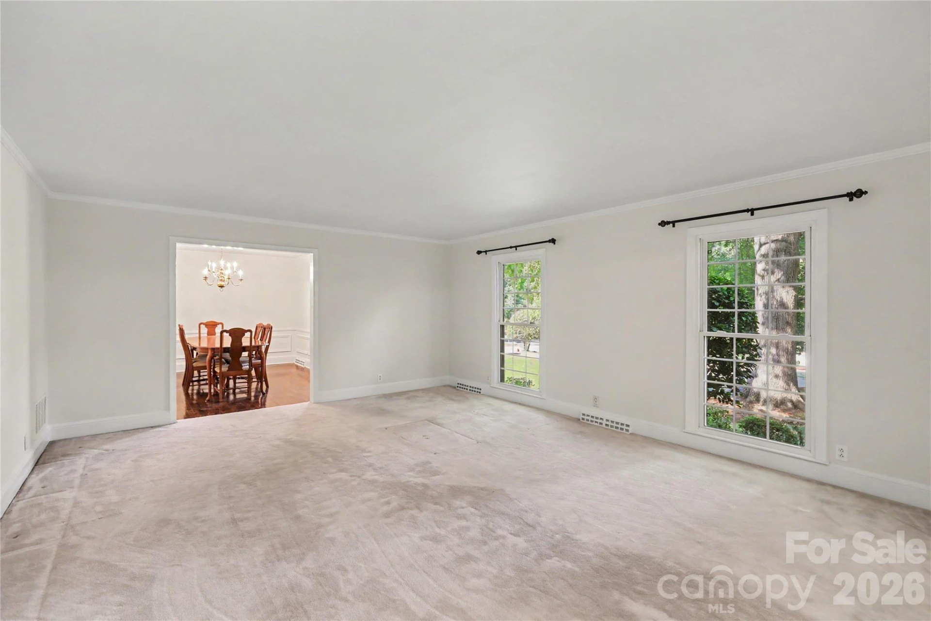 930 Scotch Drive - Photo 5