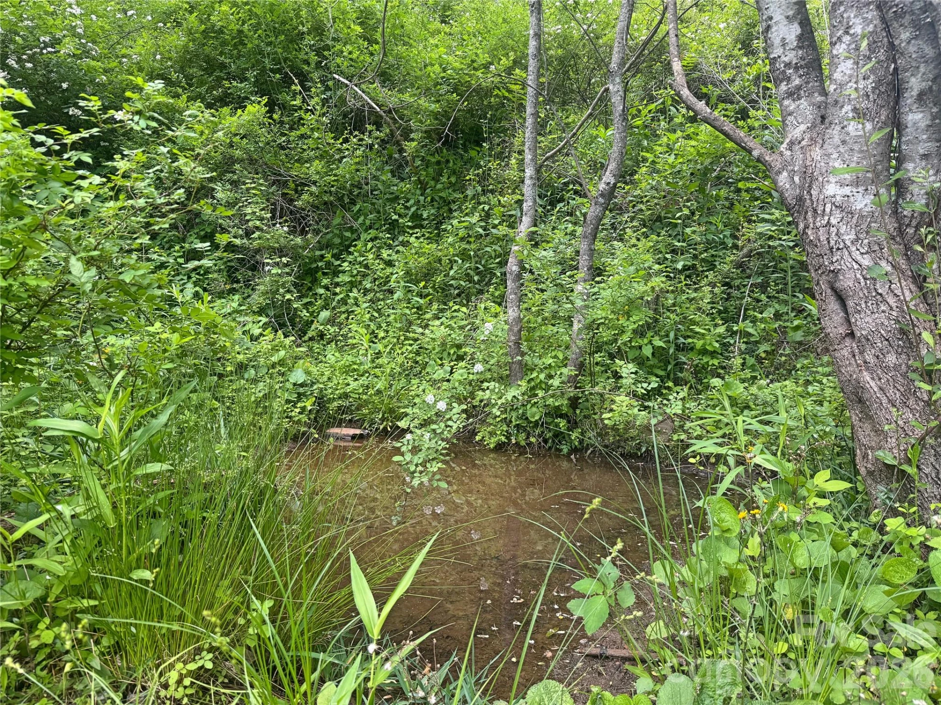 V/L Wolf Crossing - Photo 6