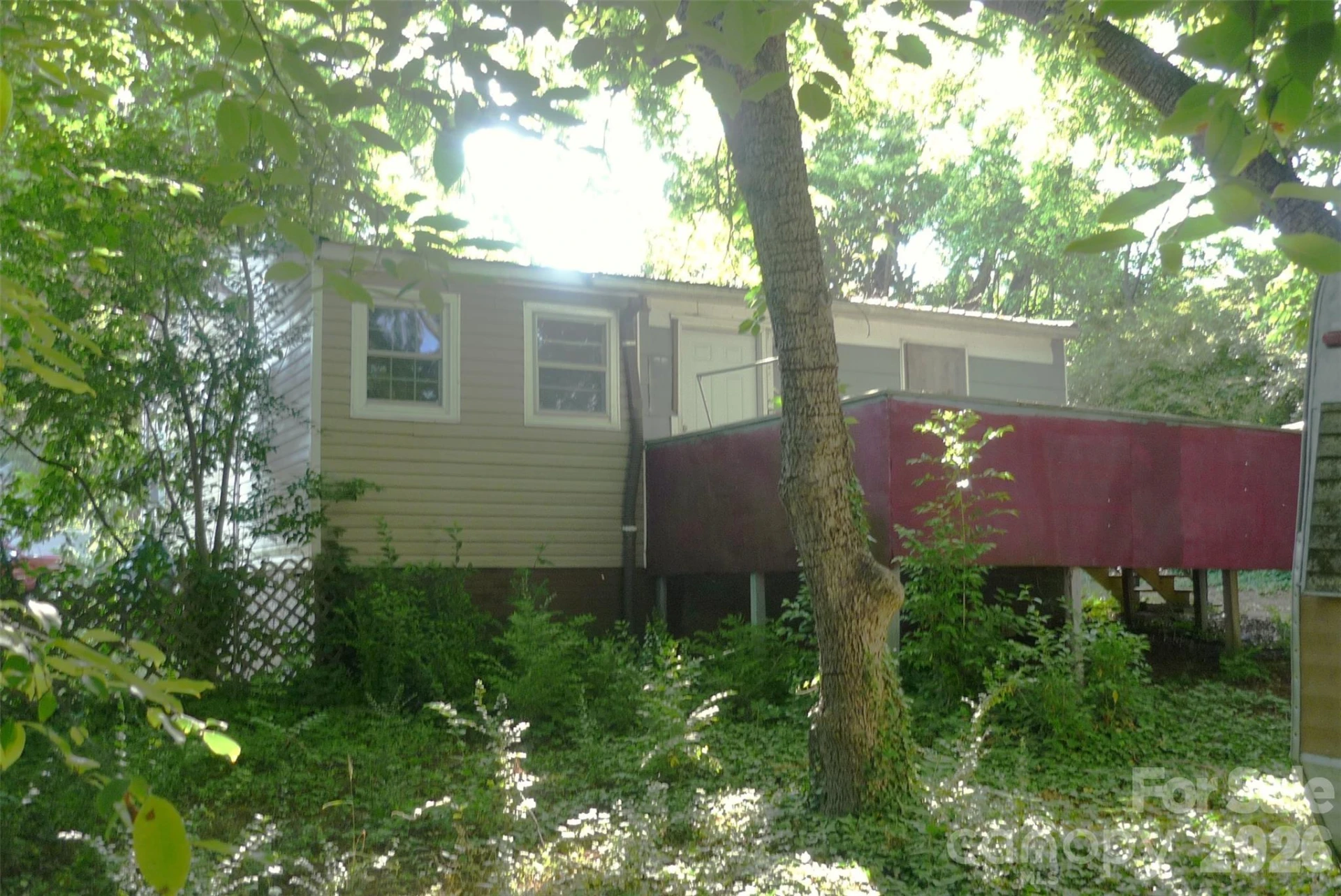 407 Pear Street - Photo 10