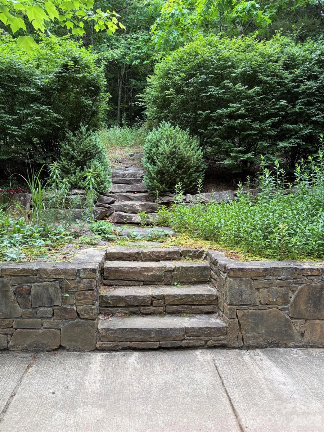 46 Cheshire Drive - Photo 3