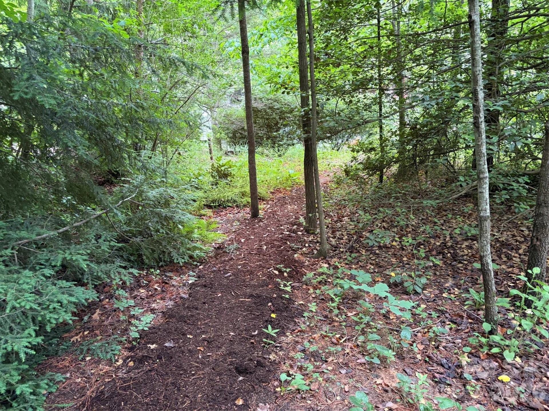 46 Cheshire Drive - Photo 4