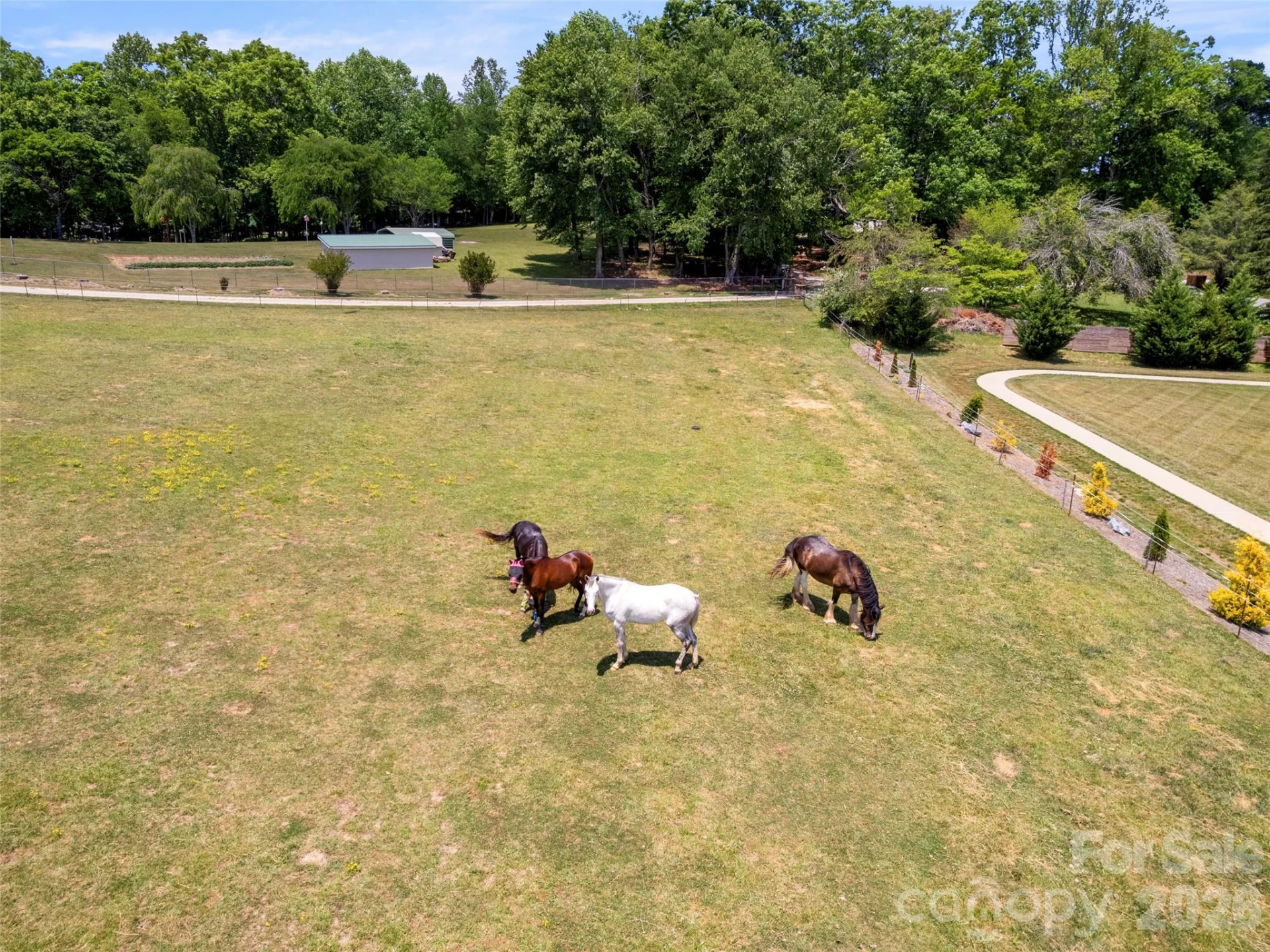 363 Samuel Drive - Photo 45