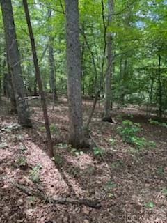 0 Smith Waldrop Road - Photo 7