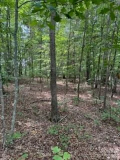 0 Smith Waldrop Road - Photo 8