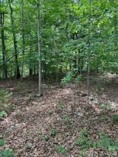 0 Smith Waldrop Road - Photo 9