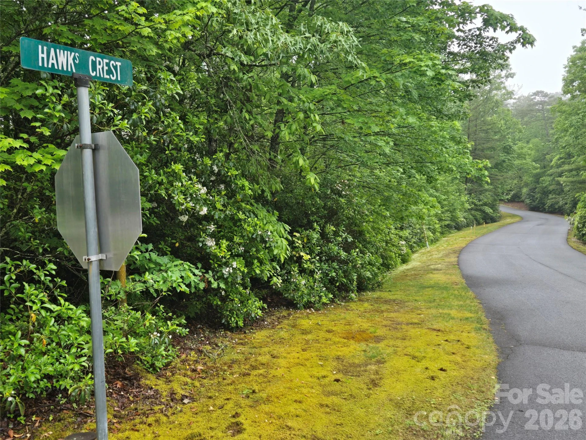 101 Hawks Crest - Photo 2