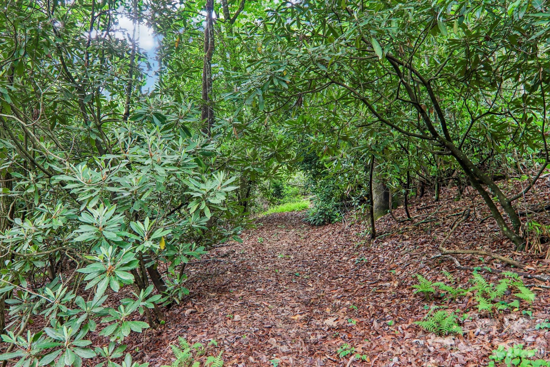17198 Rosman Highway - Photo 42