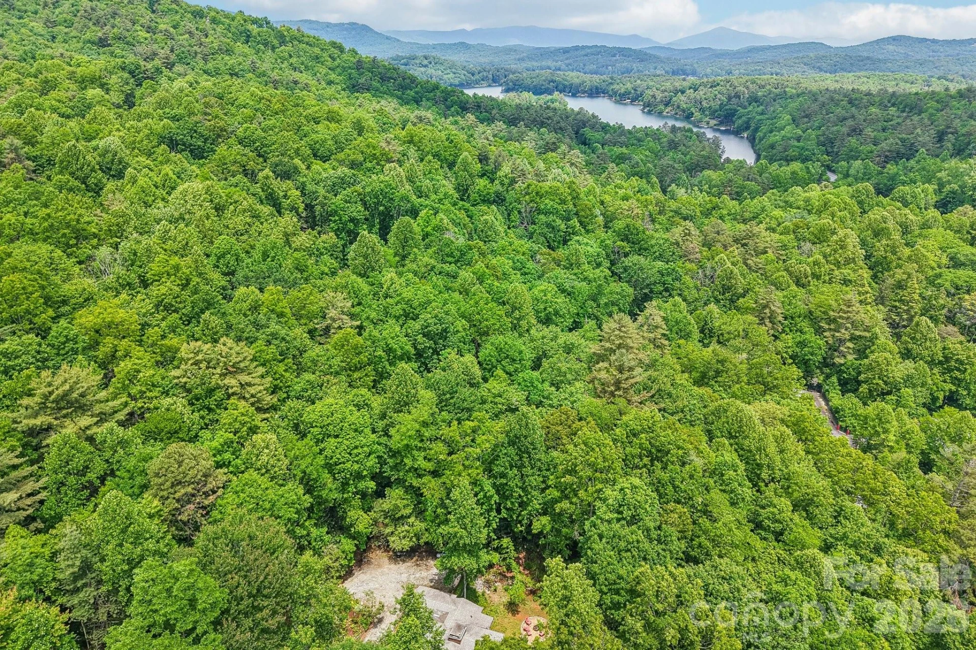17198 Rosman Highway - Photo 43