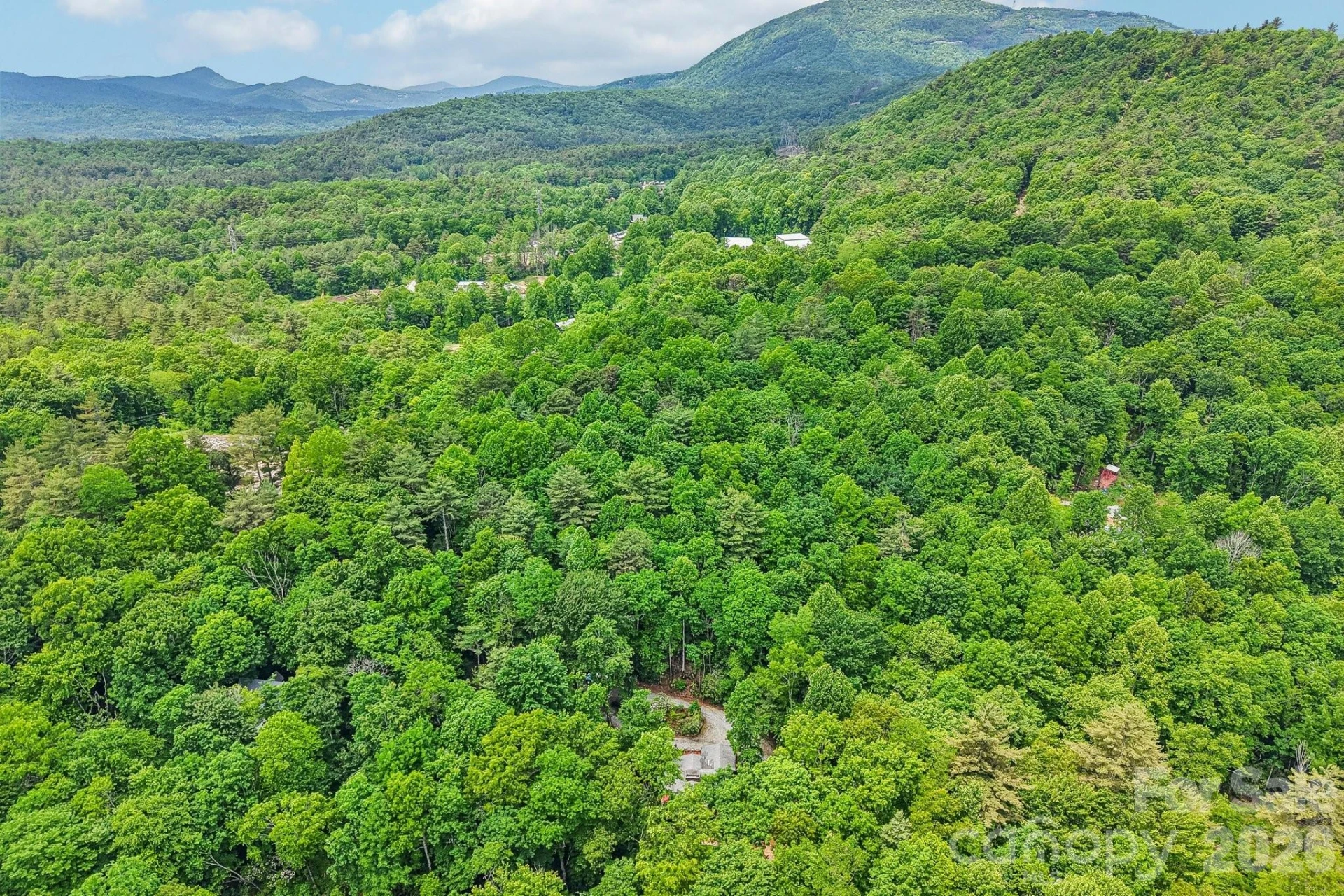17198 Rosman Highway - Photo 44