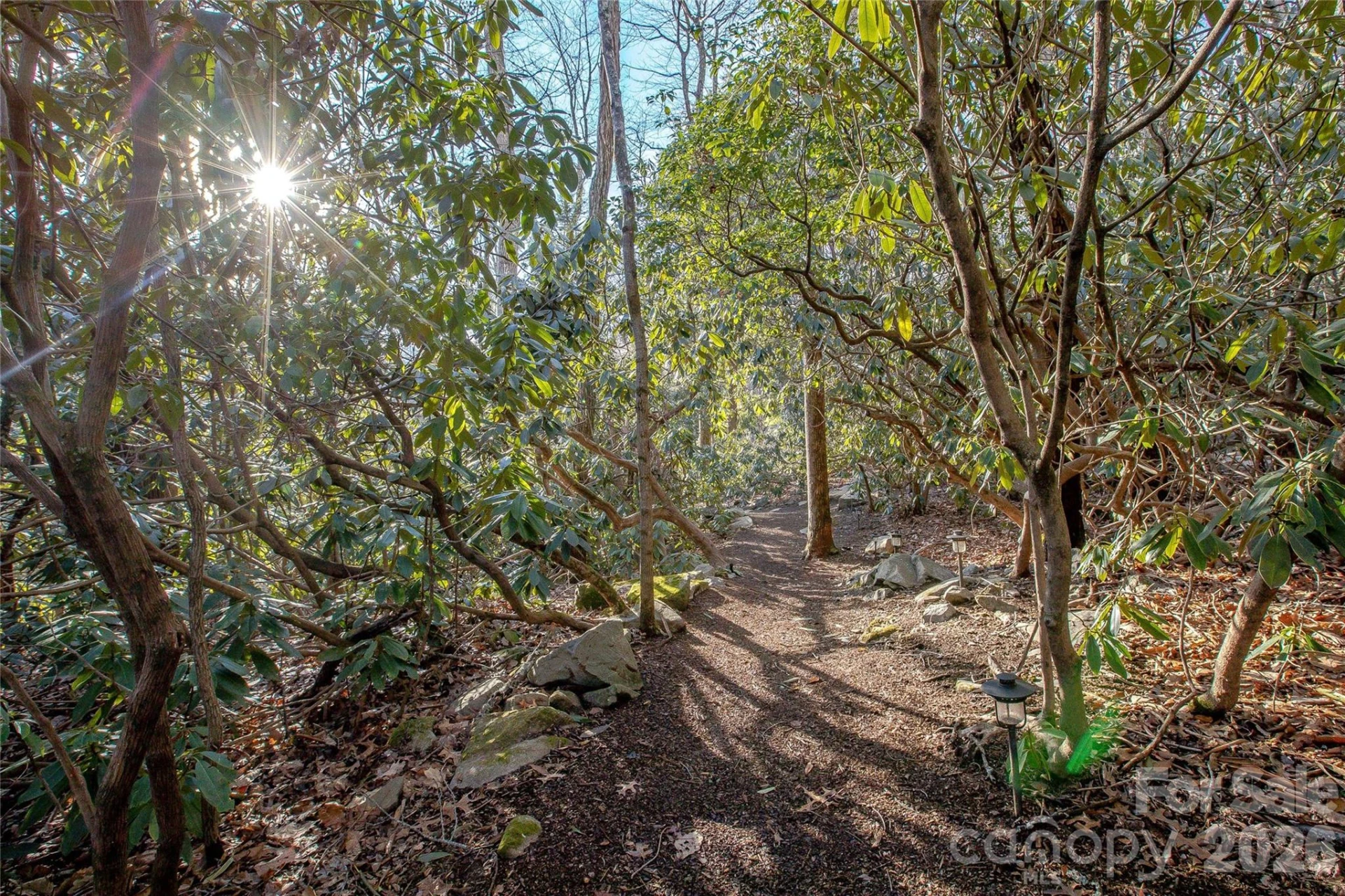 15 E Owl Creek Lane - Photo 42