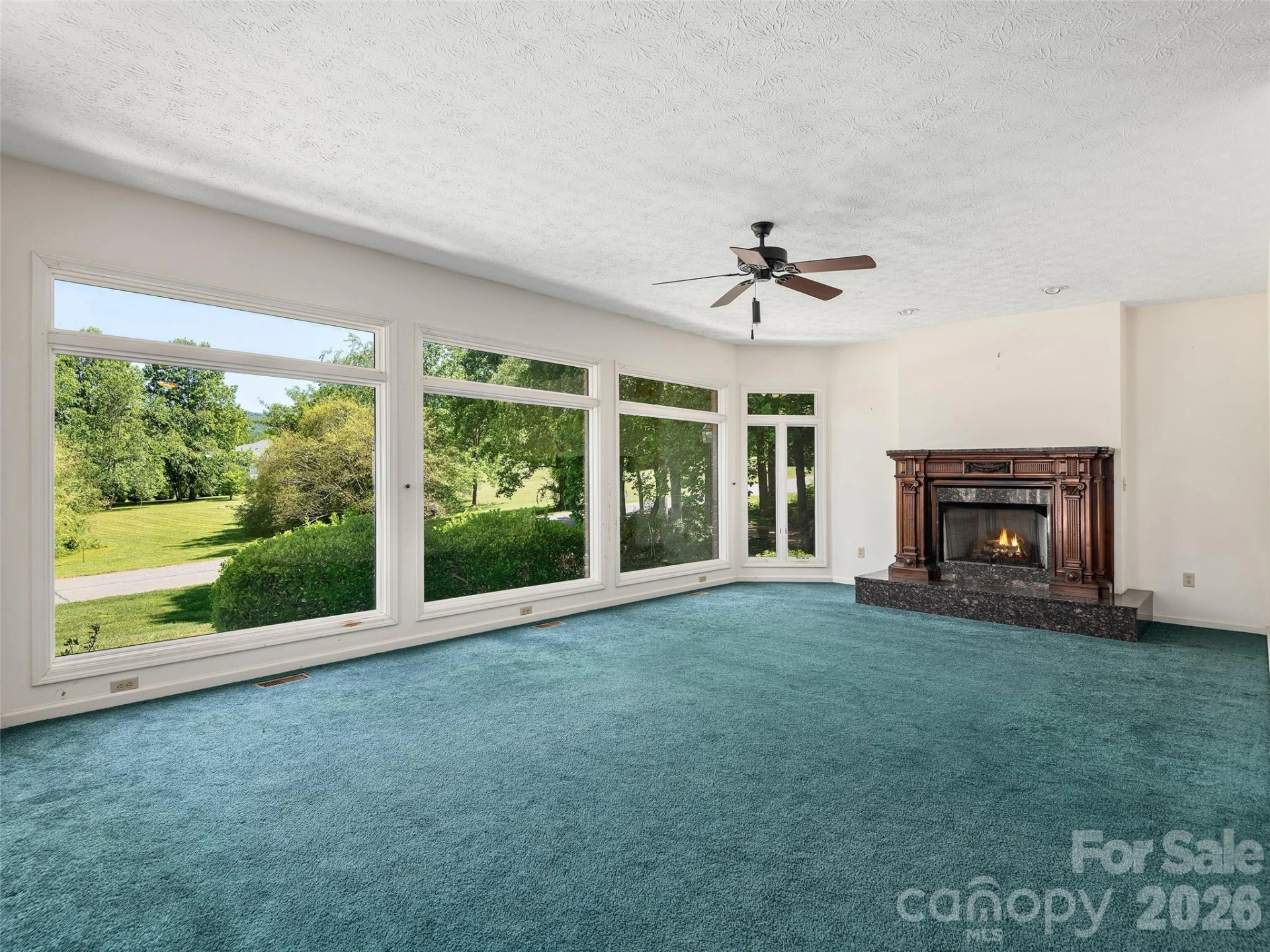 39 Beaumont Drive - Photo 3