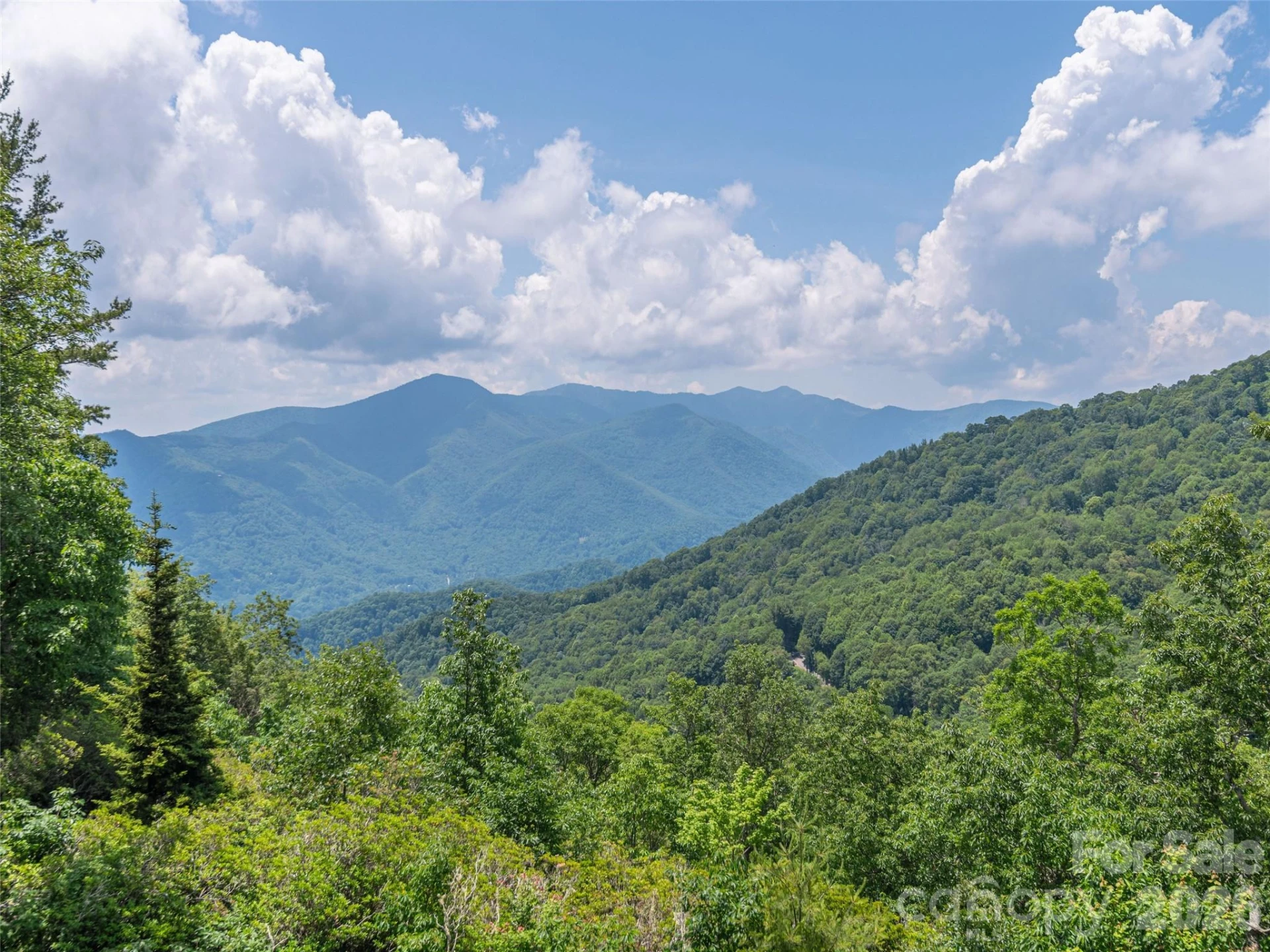 574 Leatherwood Drive - Photo 9