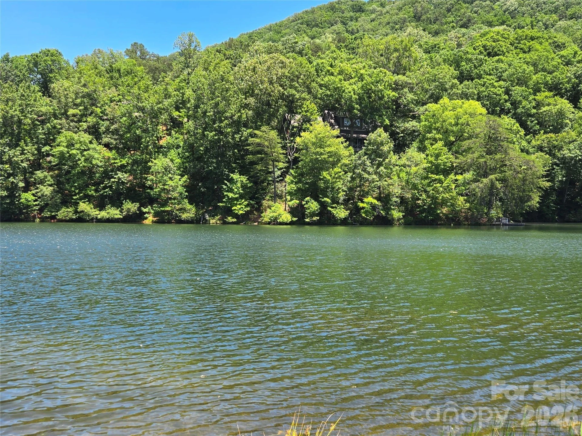 147 Lake Drive #1203 - Photo 3