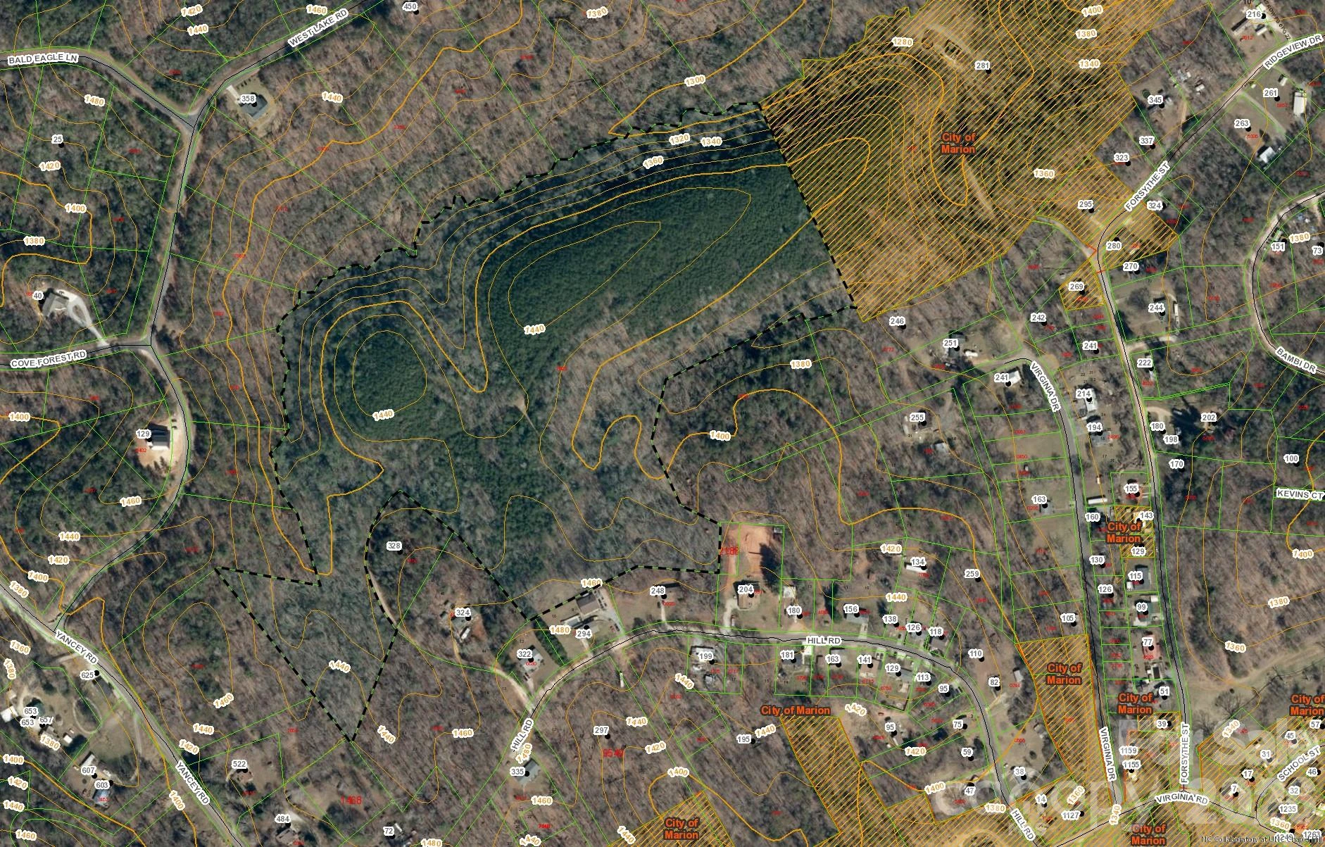 Tract 2 Hill Road - Photo 3