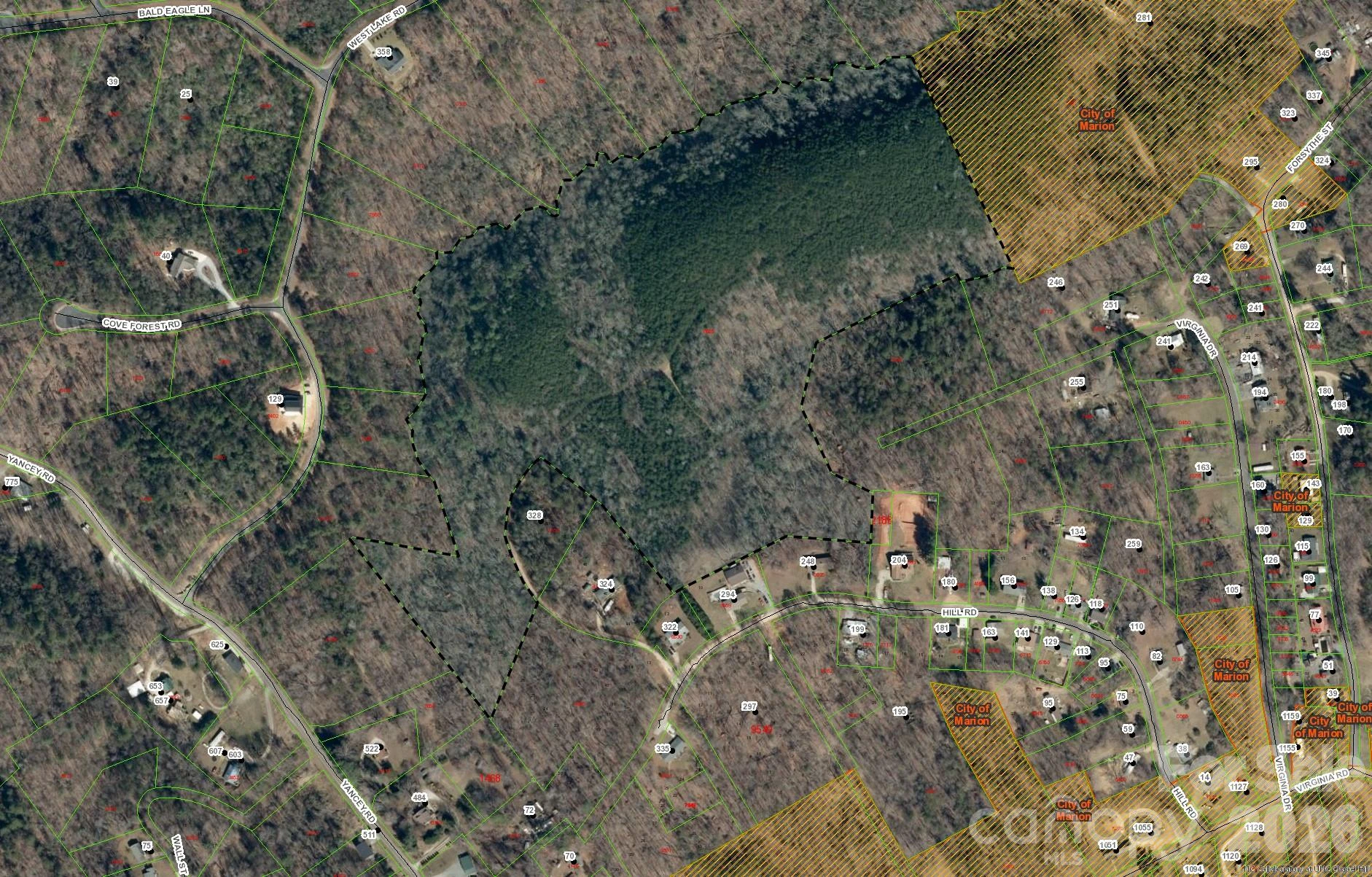 Tract 3 Hill Road - Photo 3