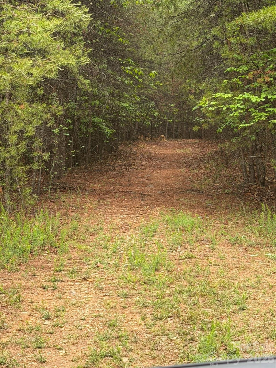 Tract 3 Hill Road - Photo 6