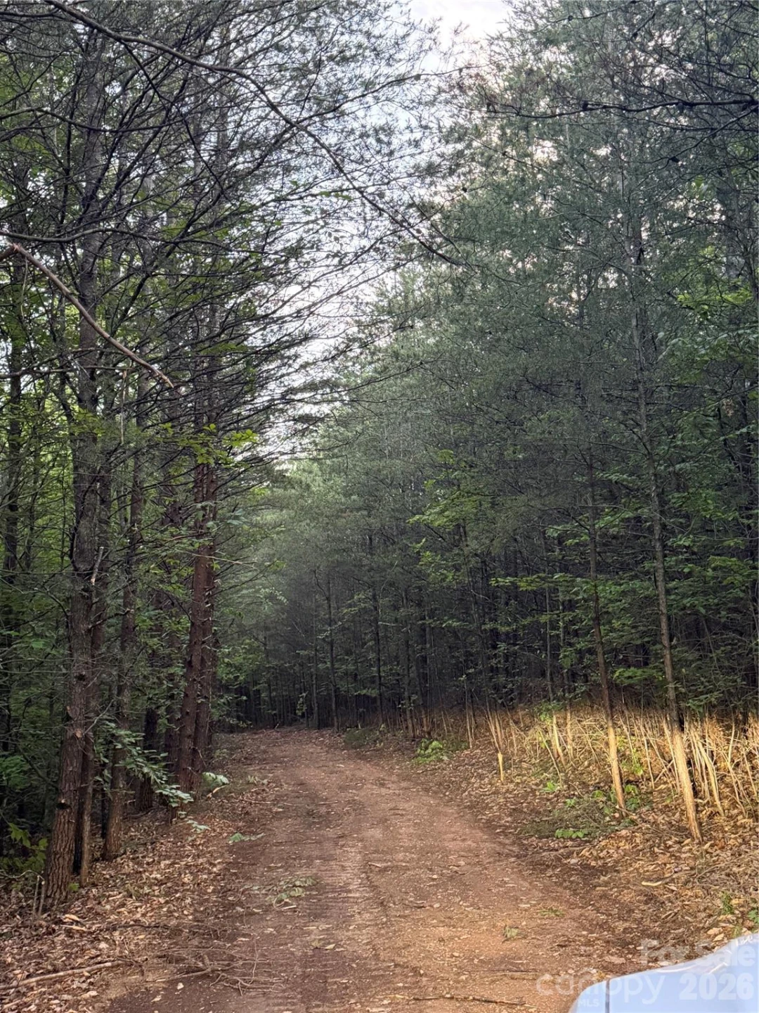 Tract 3 Hill Road - Photo 8