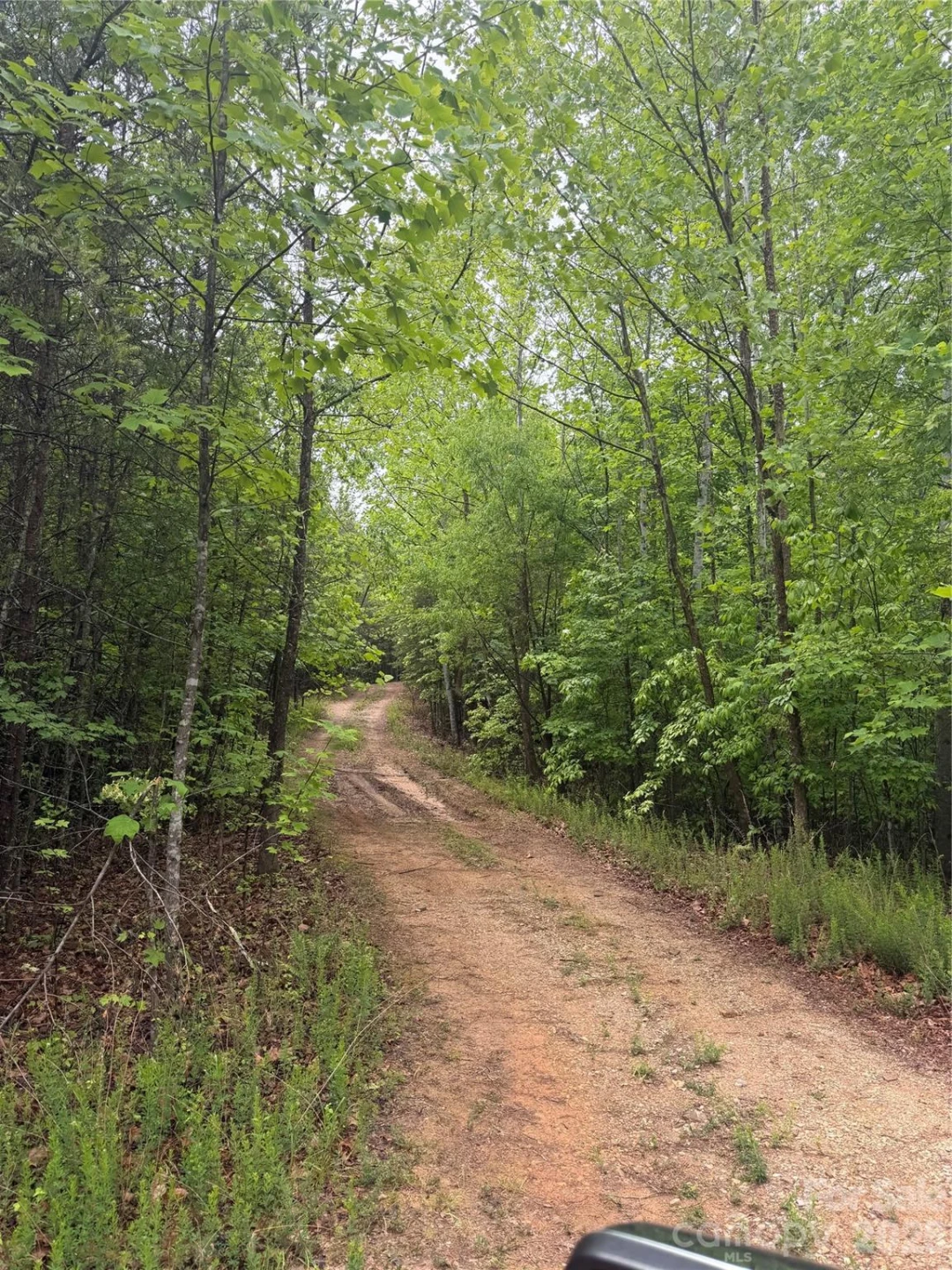 Tract 5 Hill Road - Photo 5