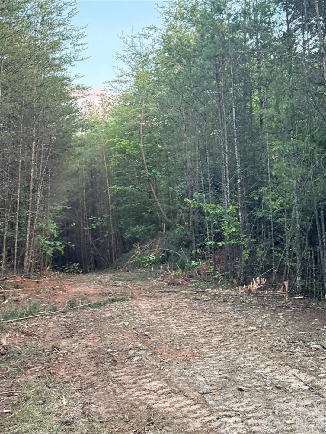 Tract 5 Hill Road - Photo 9