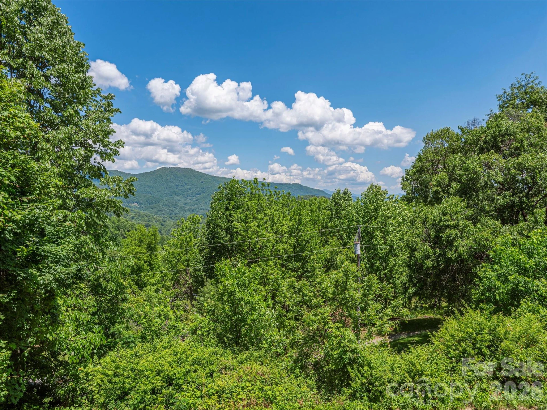 649 Acres View Drive - Photo 8