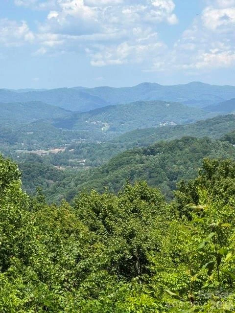 105 Dotsu Trail - Photo 2