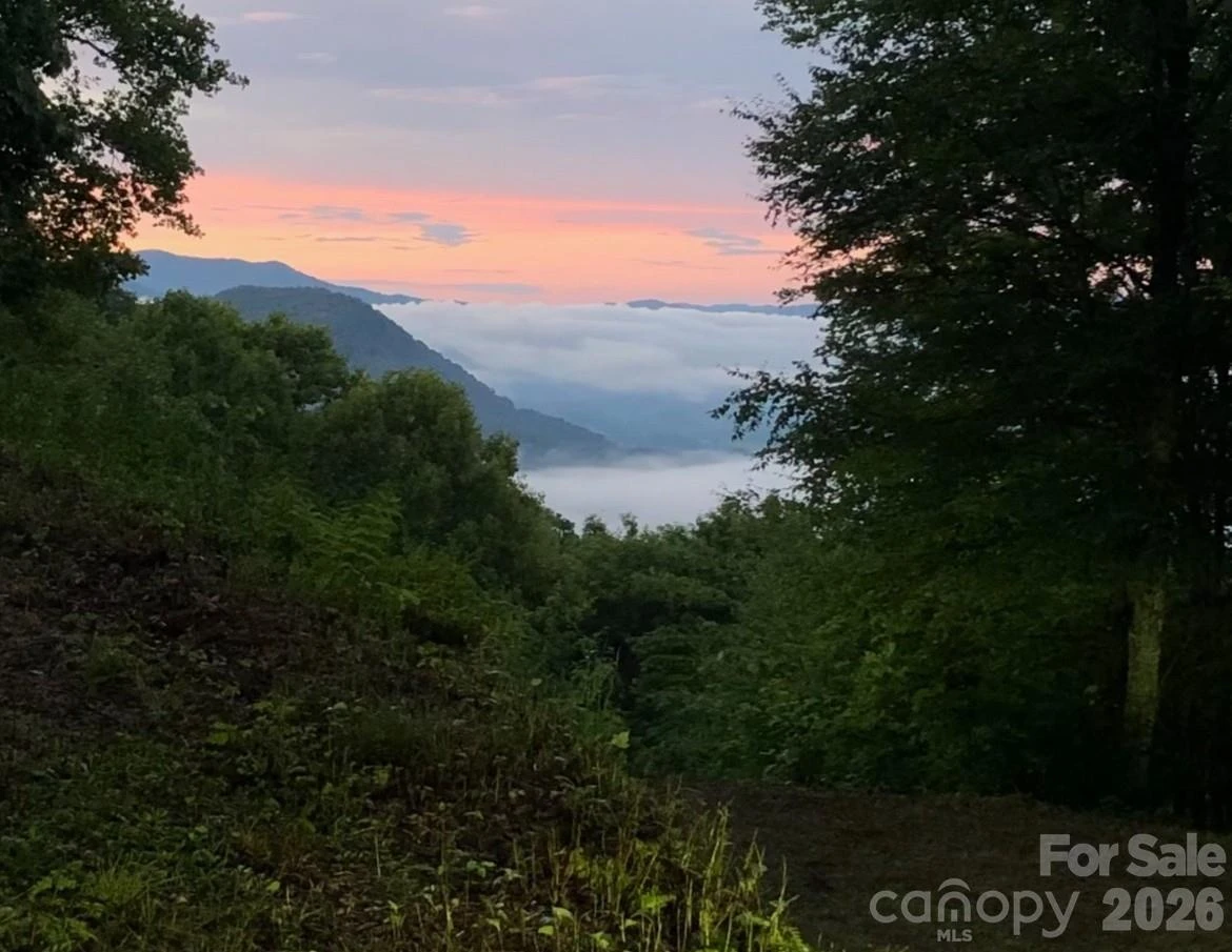 105 Dotsu Trail - Photo 11