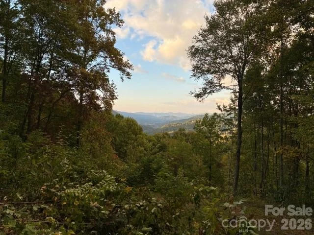105 Dotsu Trail - Photo 12