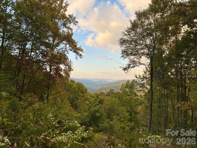 105 Dotsu Trail - Photo 13