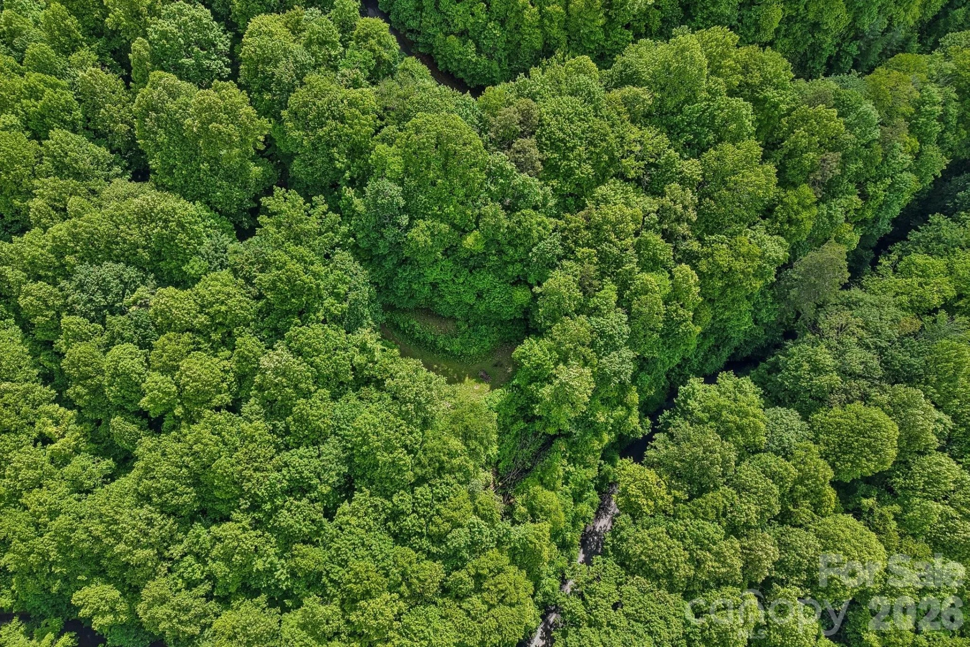 105 Dotsu Trail - Photo 19