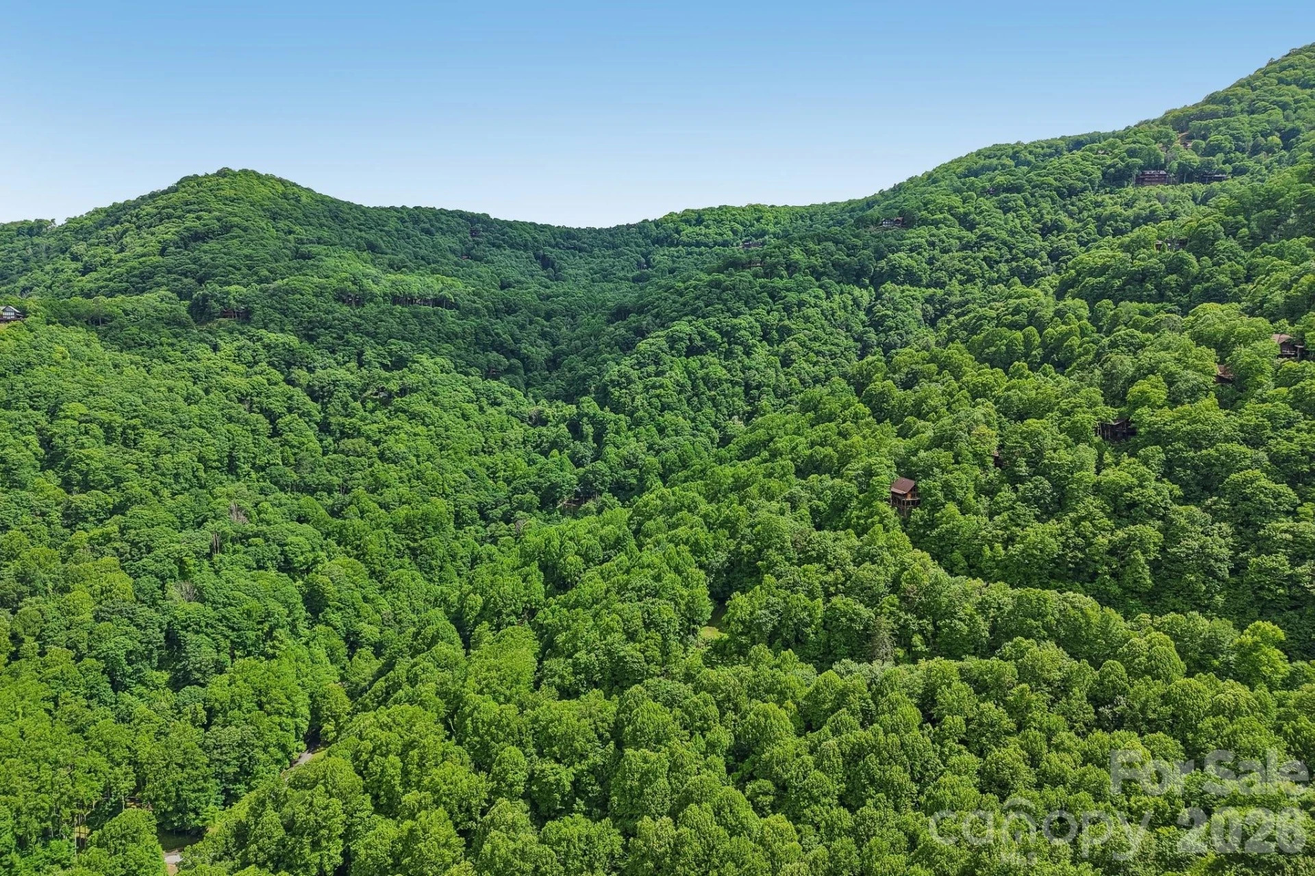 105 Dotsu Trail - Photo 22