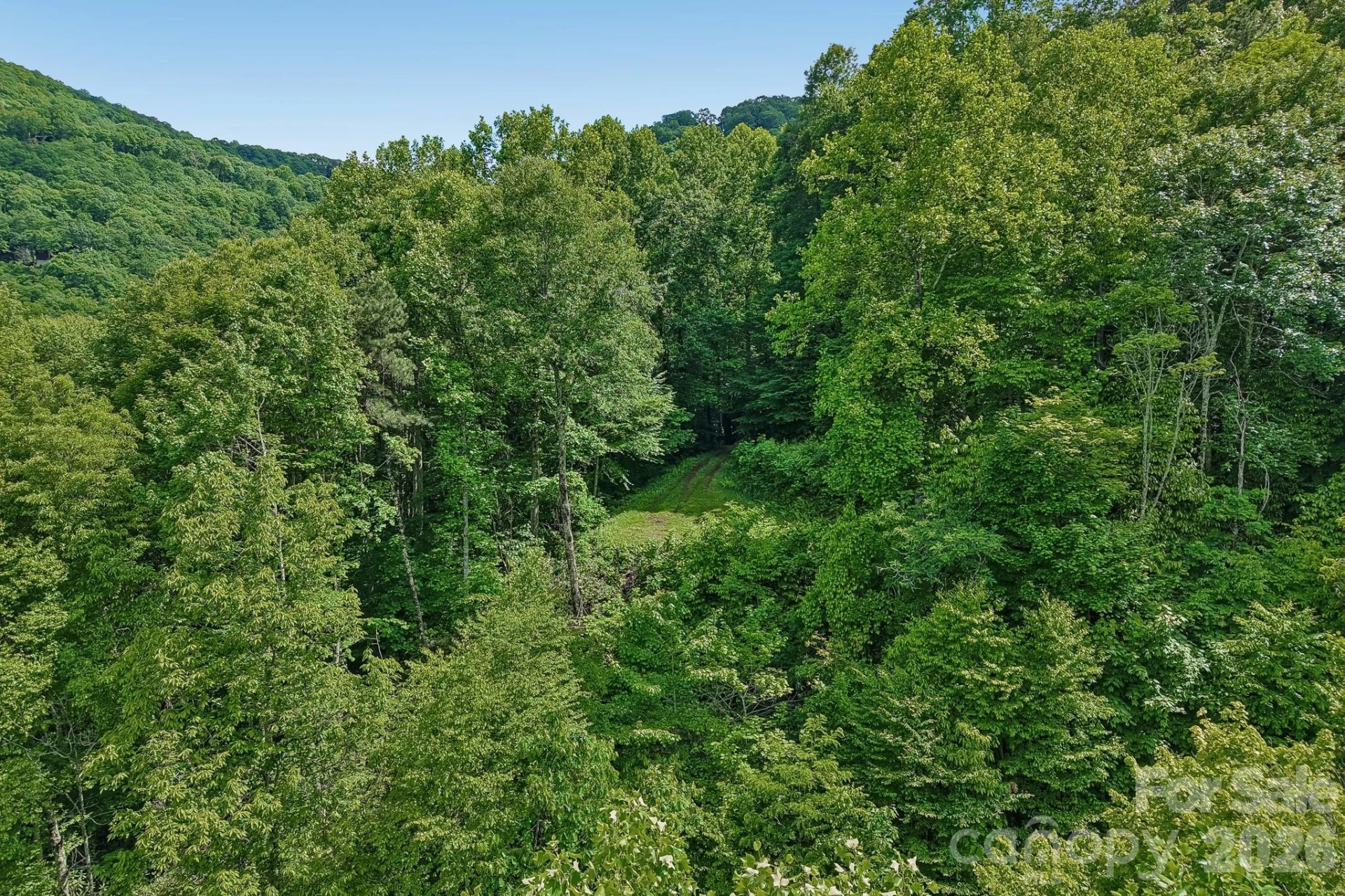 105 Dotsu Trail - Photo 25