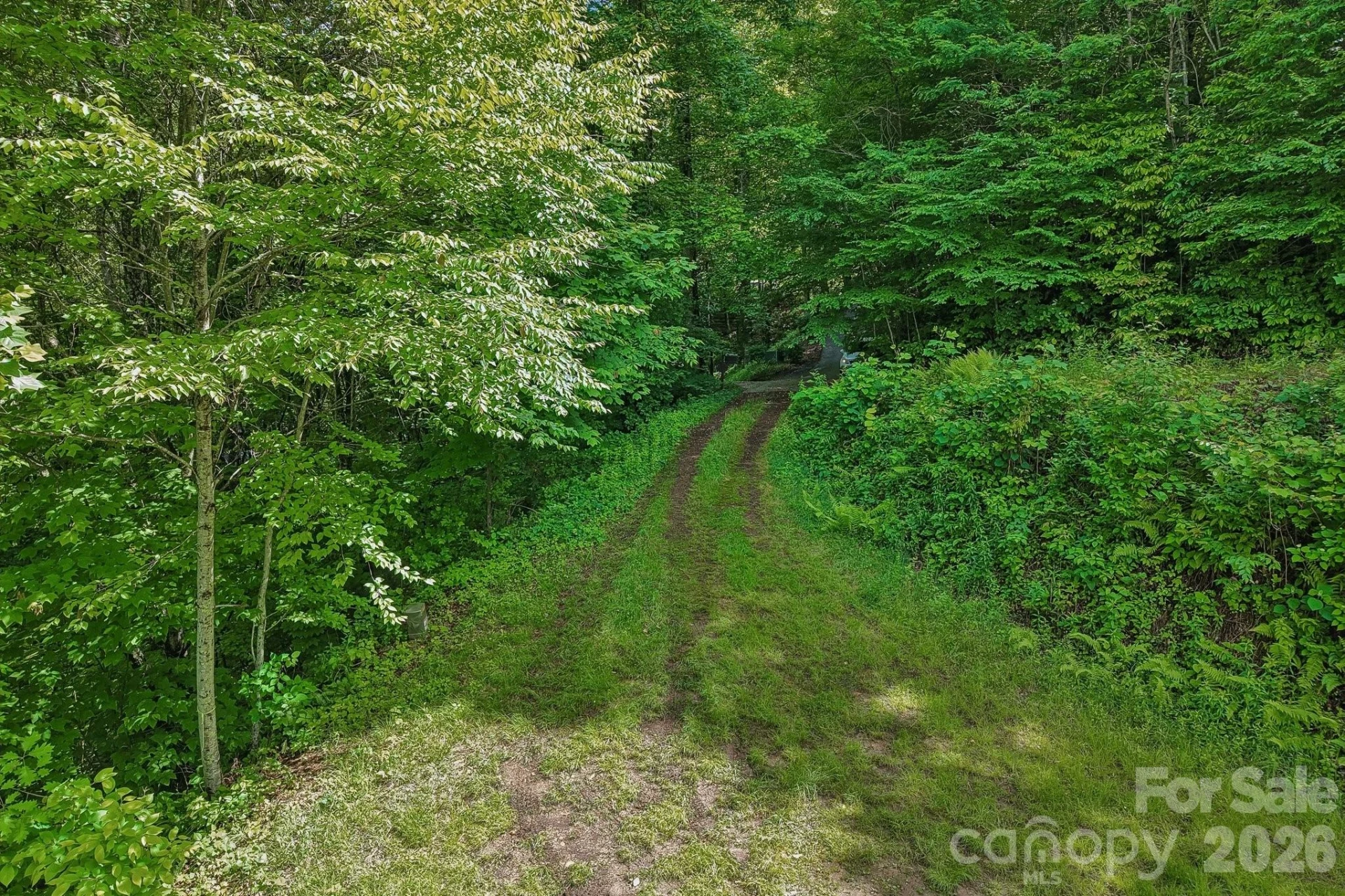 105 Dotsu Trail - Photo 31