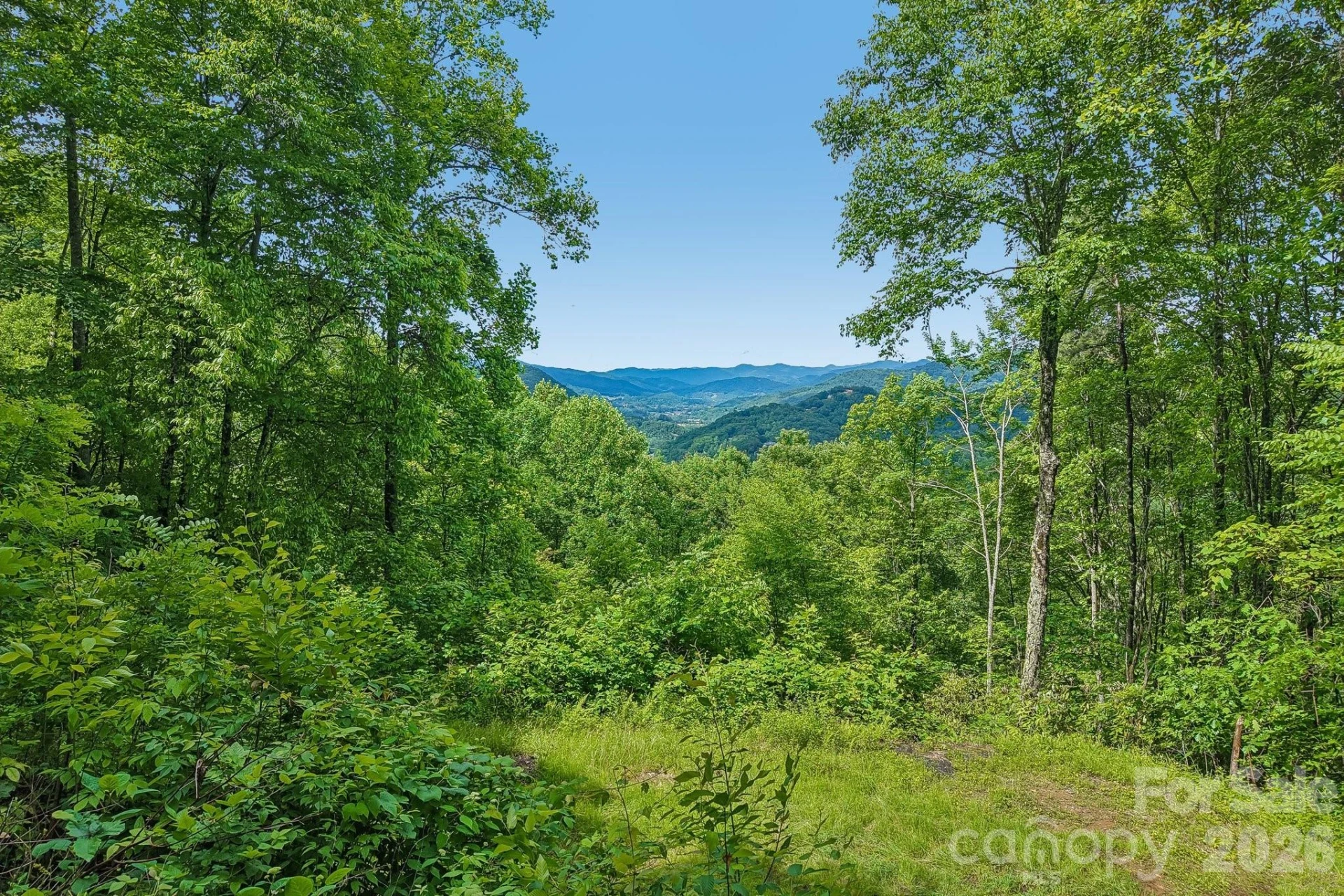 105 Dotsu Trail - Photo 32