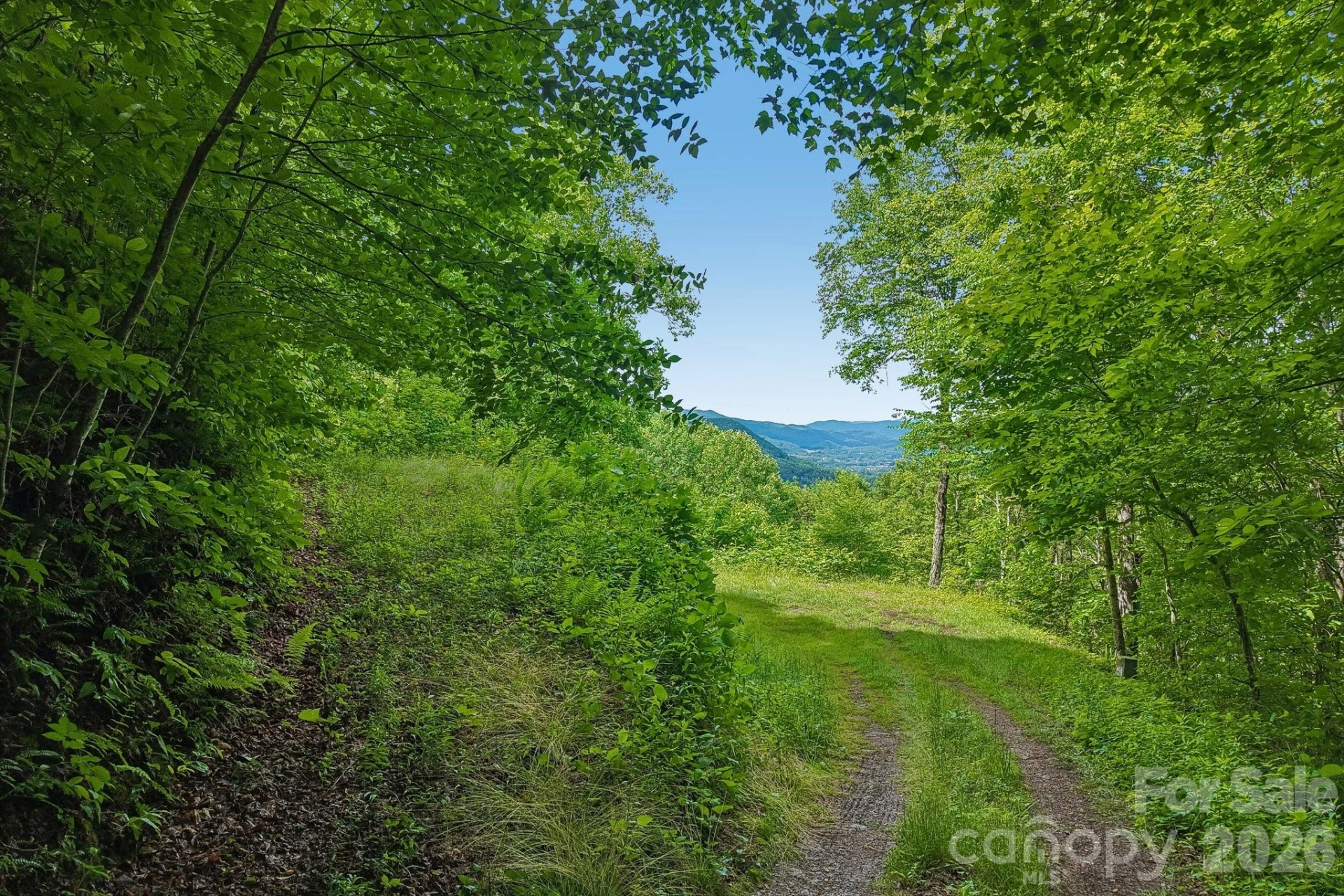 105 Dotsu Trail - Photo 34