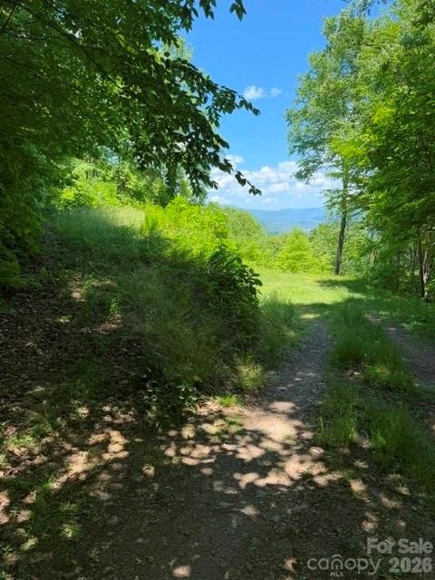 105 Dotsu Trail - Photo 5